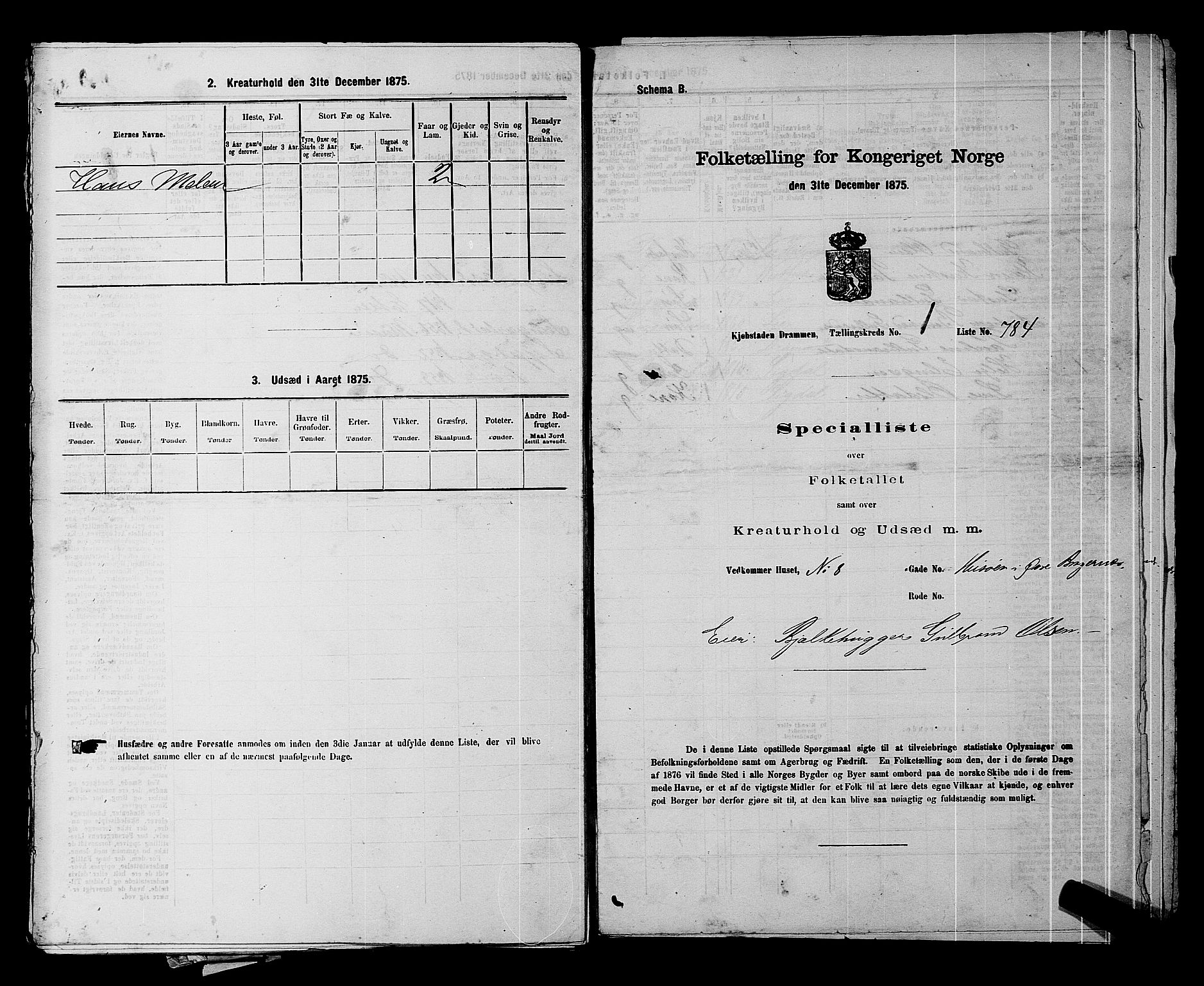 SAKO, 1875 census for 0602 Drammen, 1875, p. 160