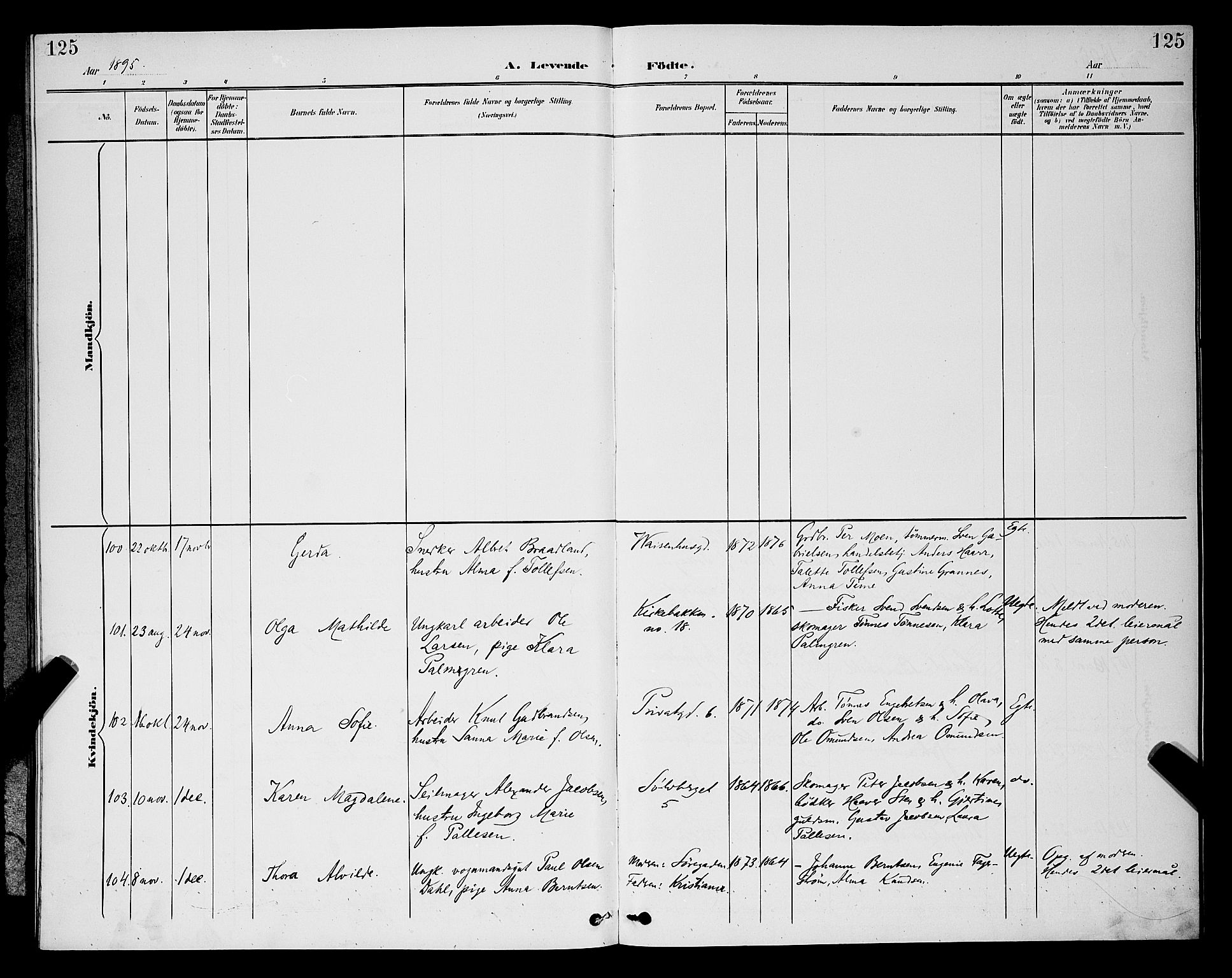St. Petri sokneprestkontor, SAST/A-101813/001/30/30BB/L0006: Parish register (copy) no. B 6, 1890-1897, p. 125