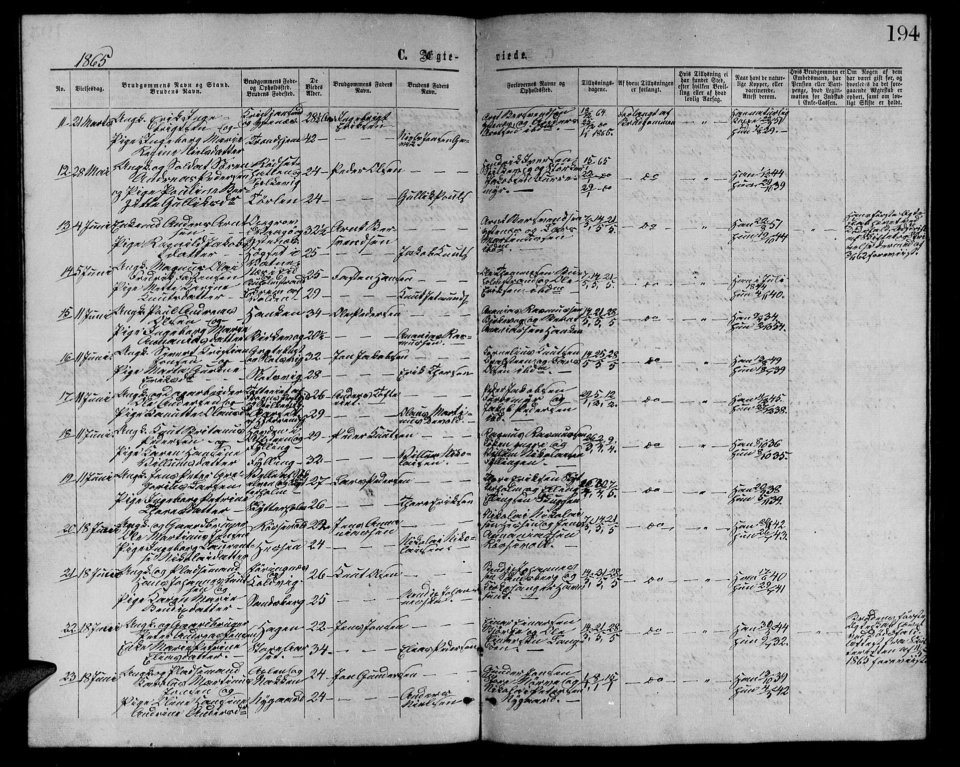 Ministerialprotokoller, klokkerbøker og fødselsregistre - Møre og Romsdal, AV/SAT-A-1454/528/L0428: Parish register (copy) no. 528C09, 1864-1880, p. 194