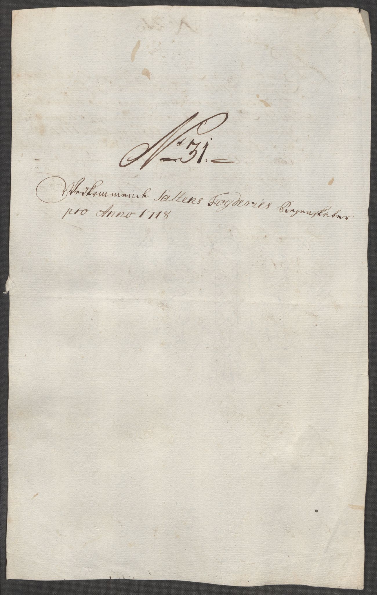 Rentekammeret inntil 1814, Reviderte regnskaper, Fogderegnskap, AV/RA-EA-4092/R66/L4588: Fogderegnskap Salten, 1718, p. 281