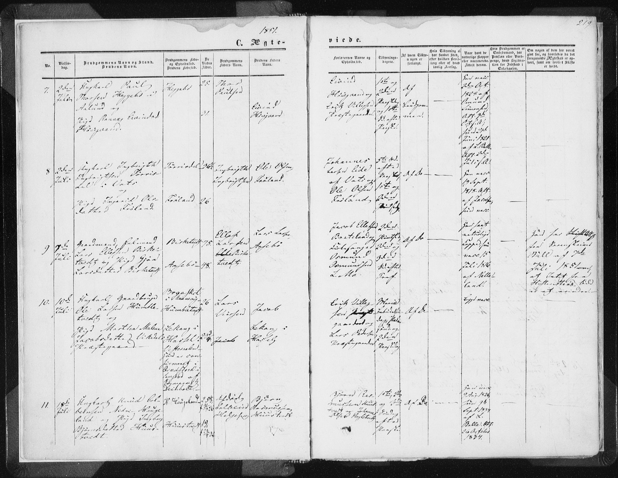 Vikedal sokneprestkontor, AV/SAST-A-101840/01/IV: Parish register (official) no. A 6.2, 1851-1867, p. 219