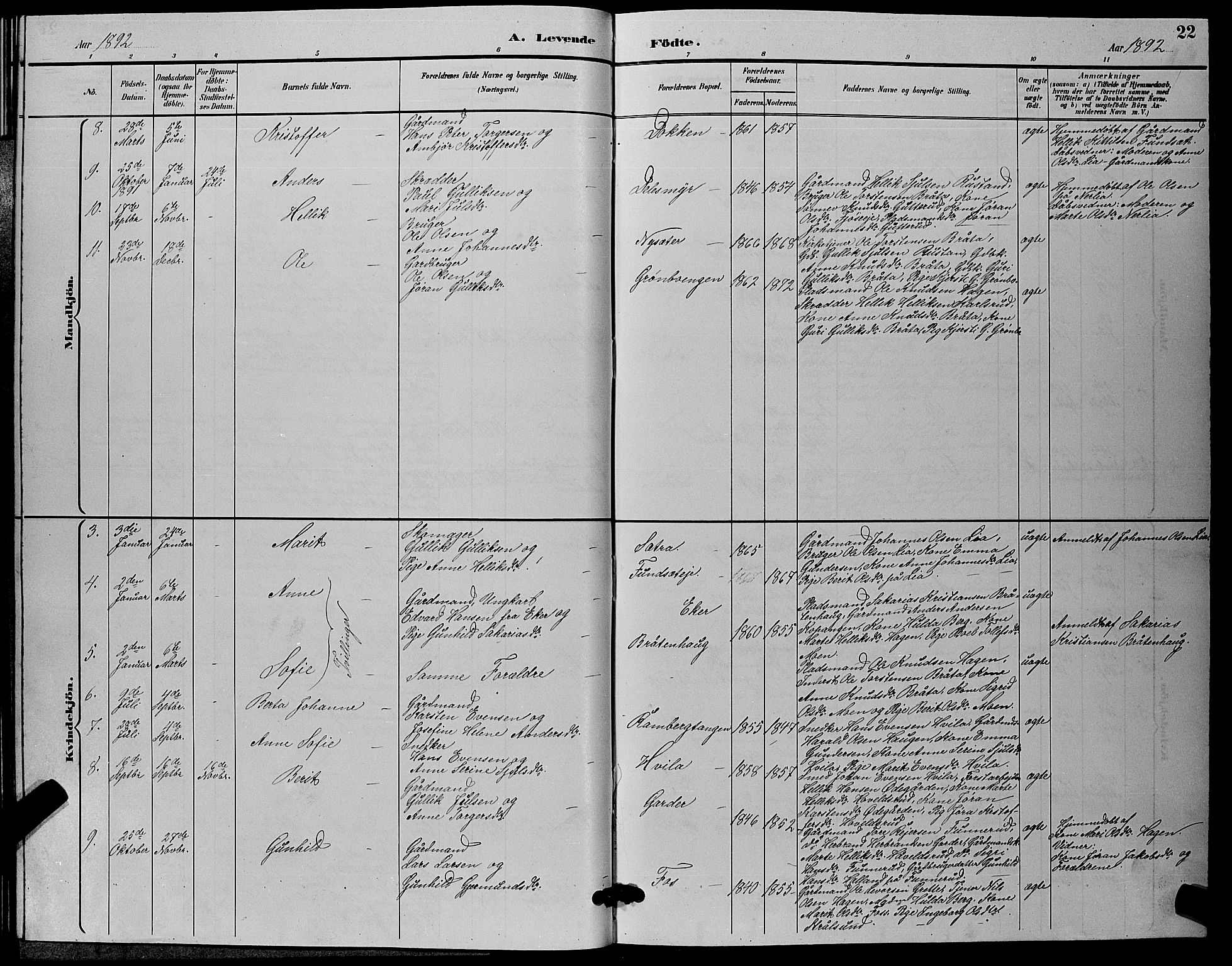 Flesberg kirkebøker, AV/SAKO-A-18/G/Ga/L0004: Parish register (copy) no. I 4 /2, 1890-1898, p. 22