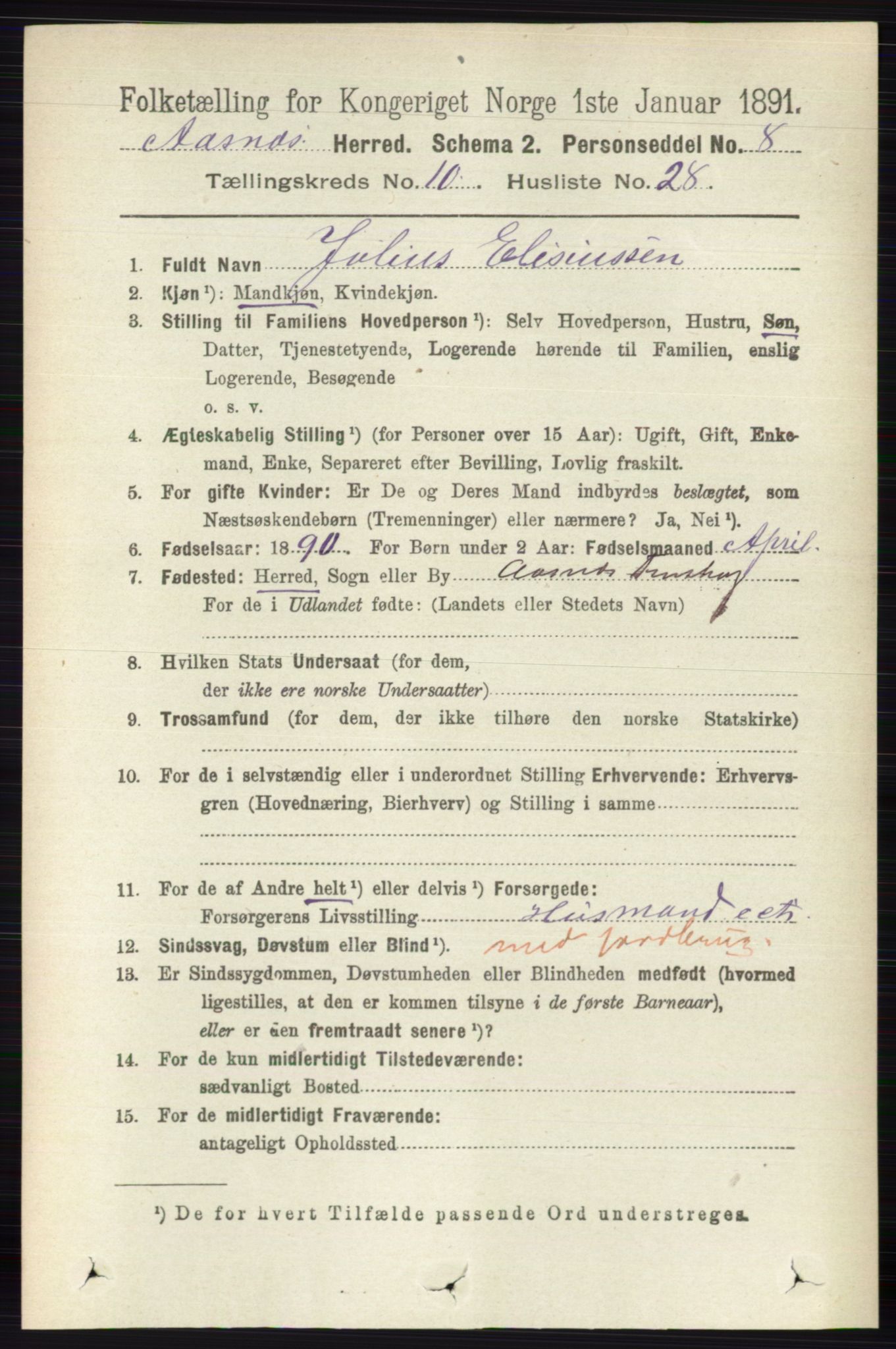 RA, 1891 census for 0425 Åsnes, 1891, p. 5211