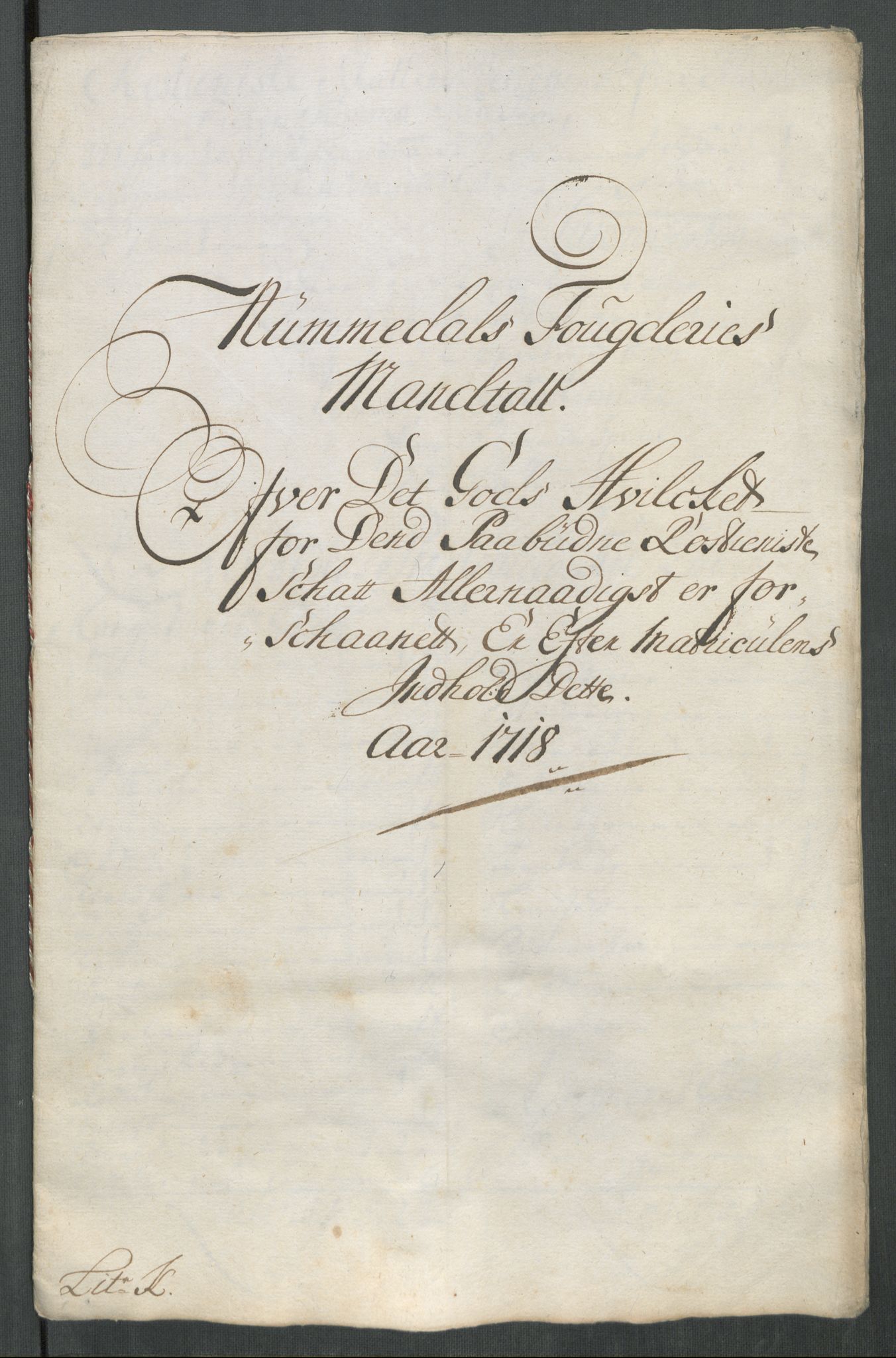 Rentekammeret inntil 1814, Reviderte regnskaper, Fogderegnskap, AV/RA-EA-4092/R64/L4439: Fogderegnskap Namdal, 1718, p. 227