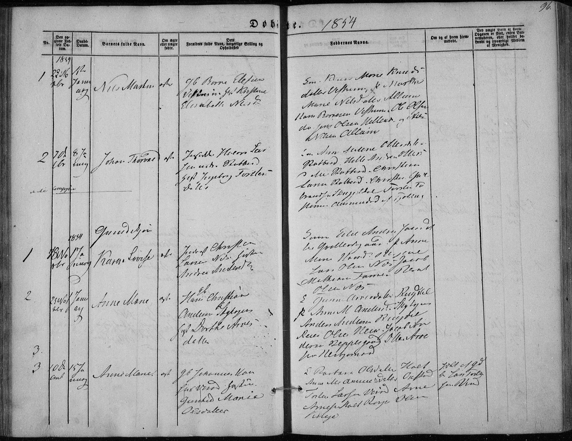 Hedrum kirkebøker, AV/SAKO-A-344/F/Fa/L0006: Parish register (official) no. I 6, 1849-1857, p. 96