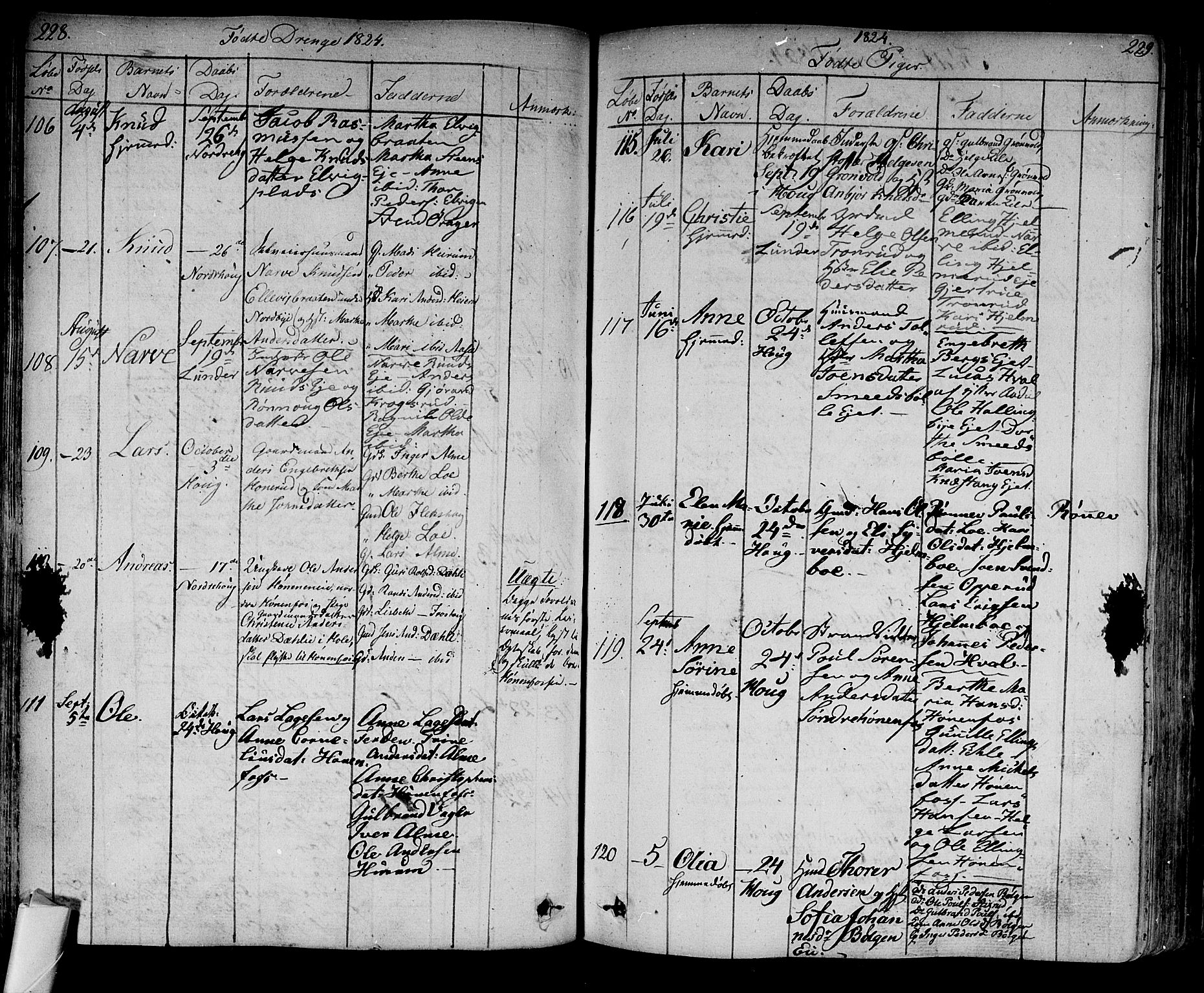 Norderhov kirkebøker, AV/SAKO-A-237/F/Fa/L0009: Parish register (official) no. 9, 1819-1837, p. 228-229