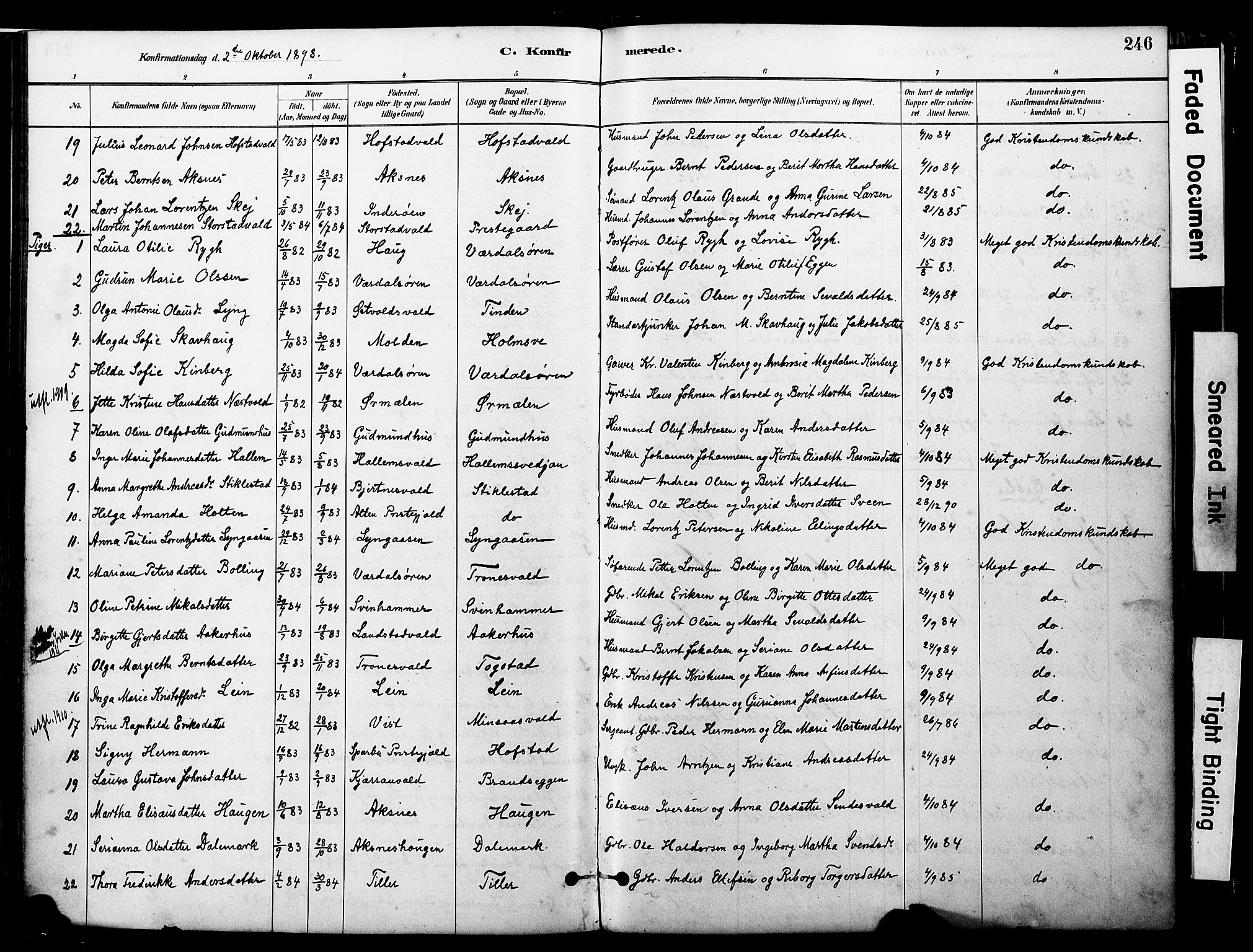 Ministerialprotokoller, klokkerbøker og fødselsregistre - Nord-Trøndelag, SAT/A-1458/723/L0244: Parish register (official) no. 723A13, 1881-1899, p. 246