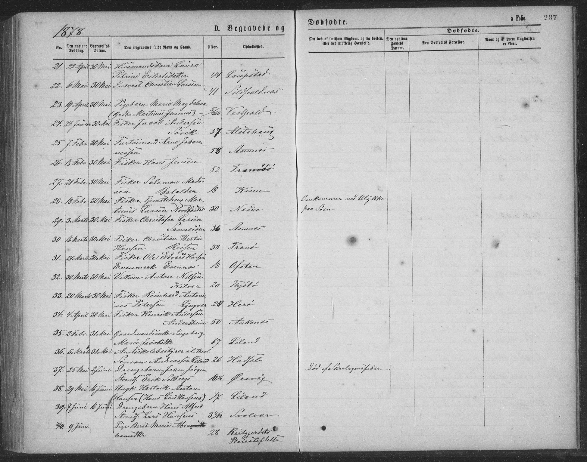 Ministerialprotokoller, klokkerbøker og fødselsregistre - Nordland, SAT/A-1459/874/L1075: Parish register (copy) no. 874C04, 1876-1883, p. 237