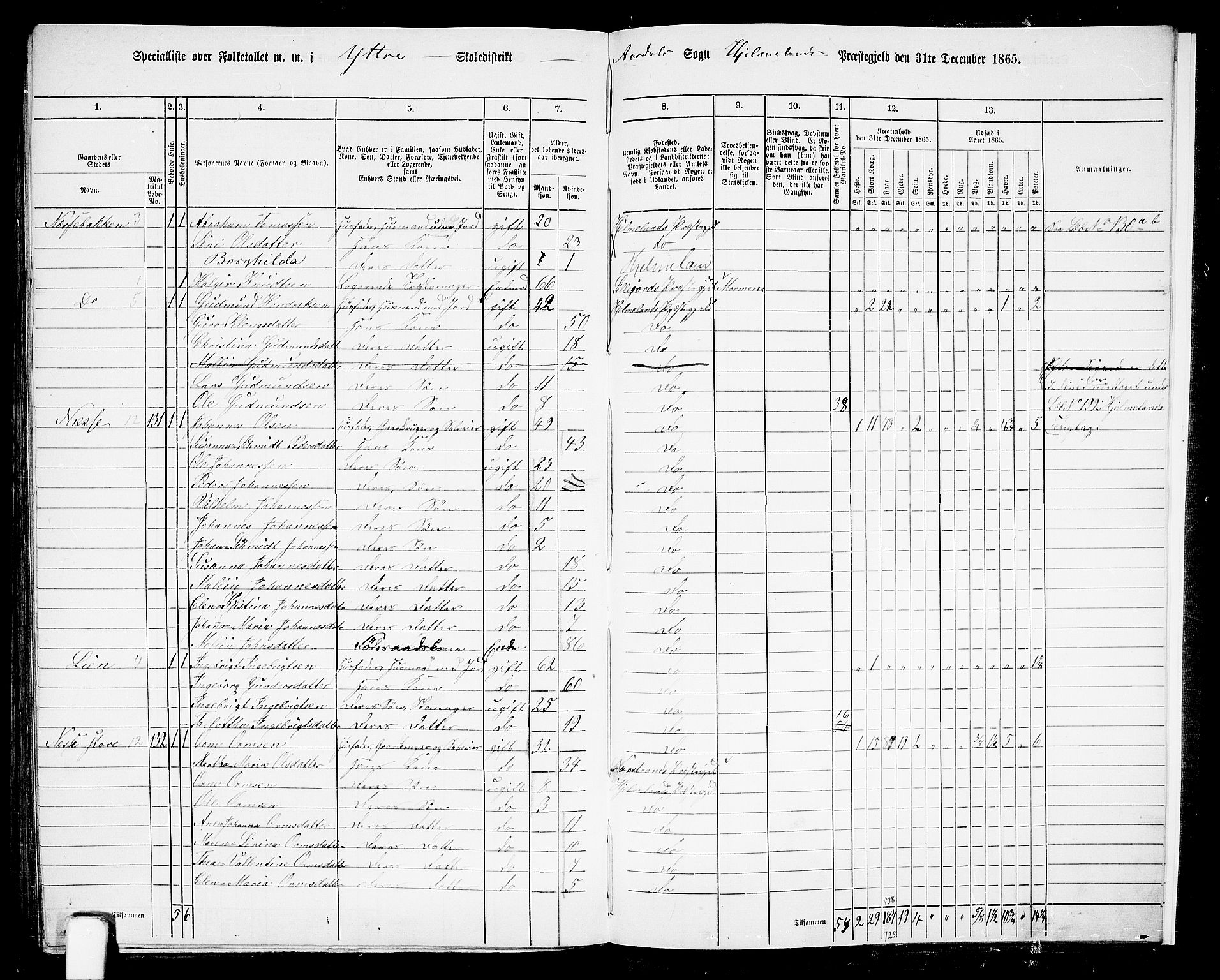 RA, 1865 census for Hjelmeland, 1865, p. 197