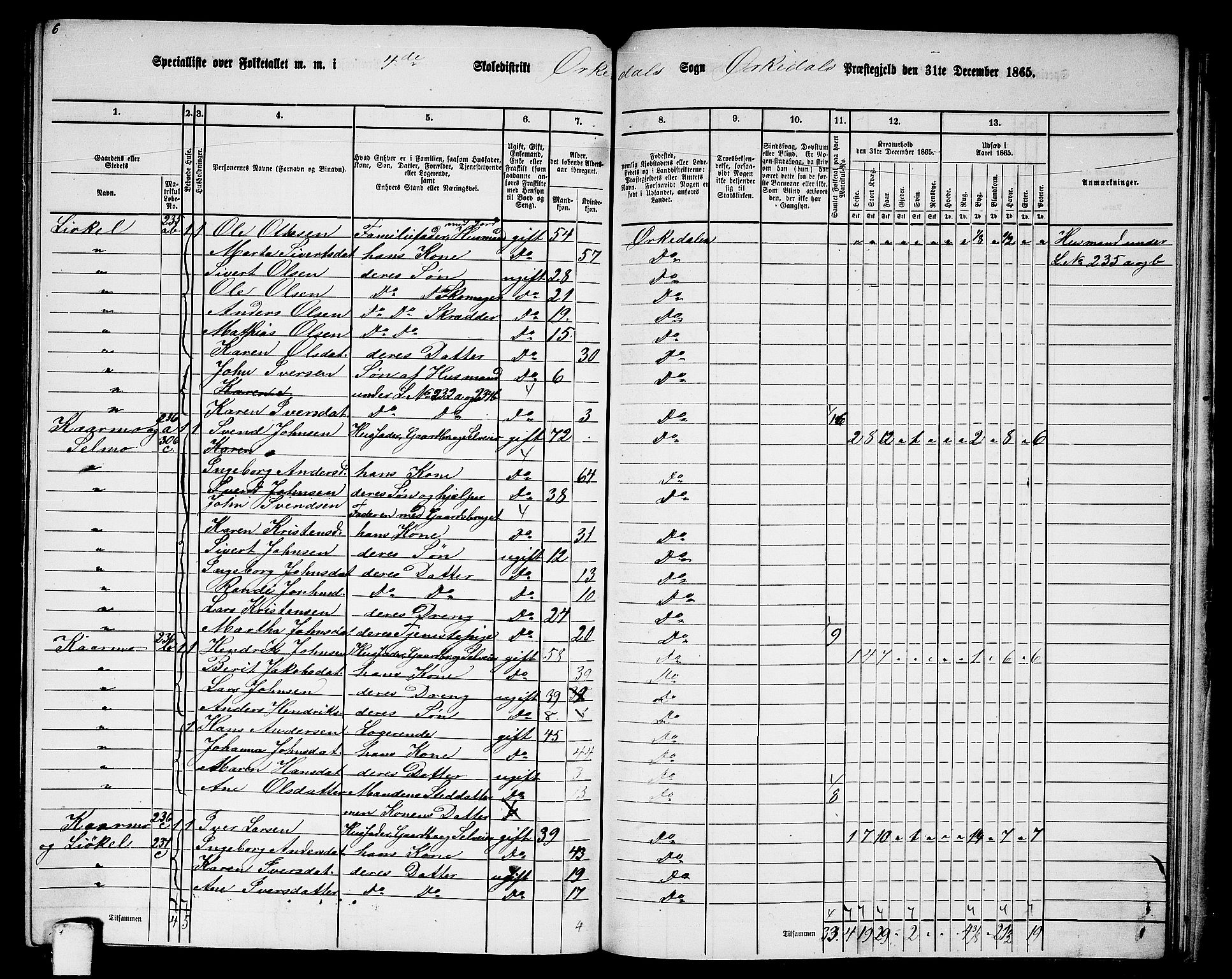 RA, 1865 census for Orkdal, 1865, p. 224