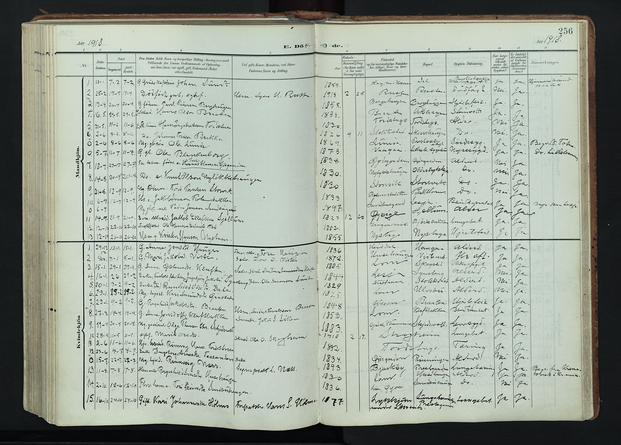 Vågå prestekontor, AV/SAH-PREST-076/H/Ha/Haa/L0011: Parish register (official) no. 11, 1905-1924, p. 256