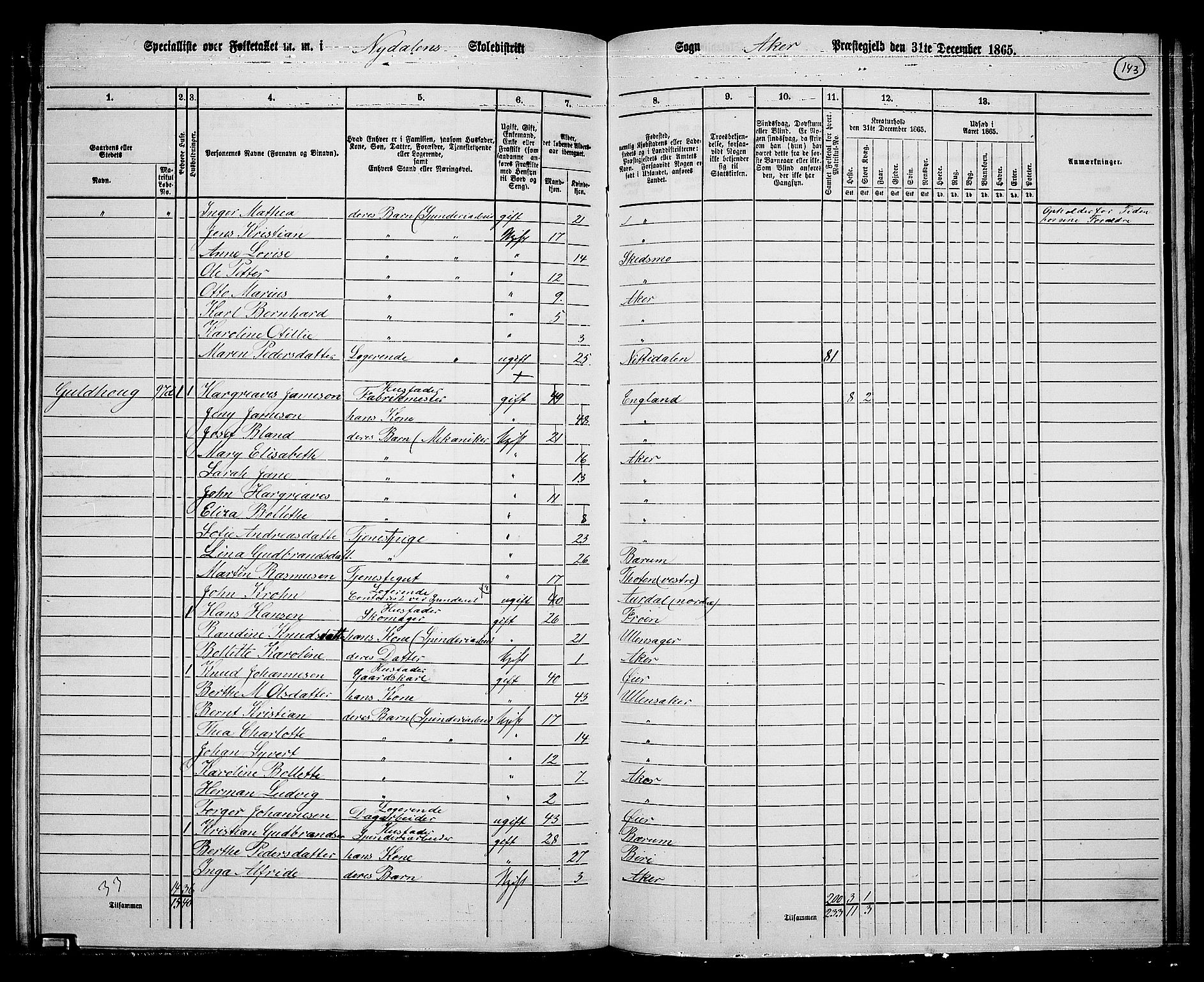 RA, 1865 census for Vestre Aker, 1865, p. 126