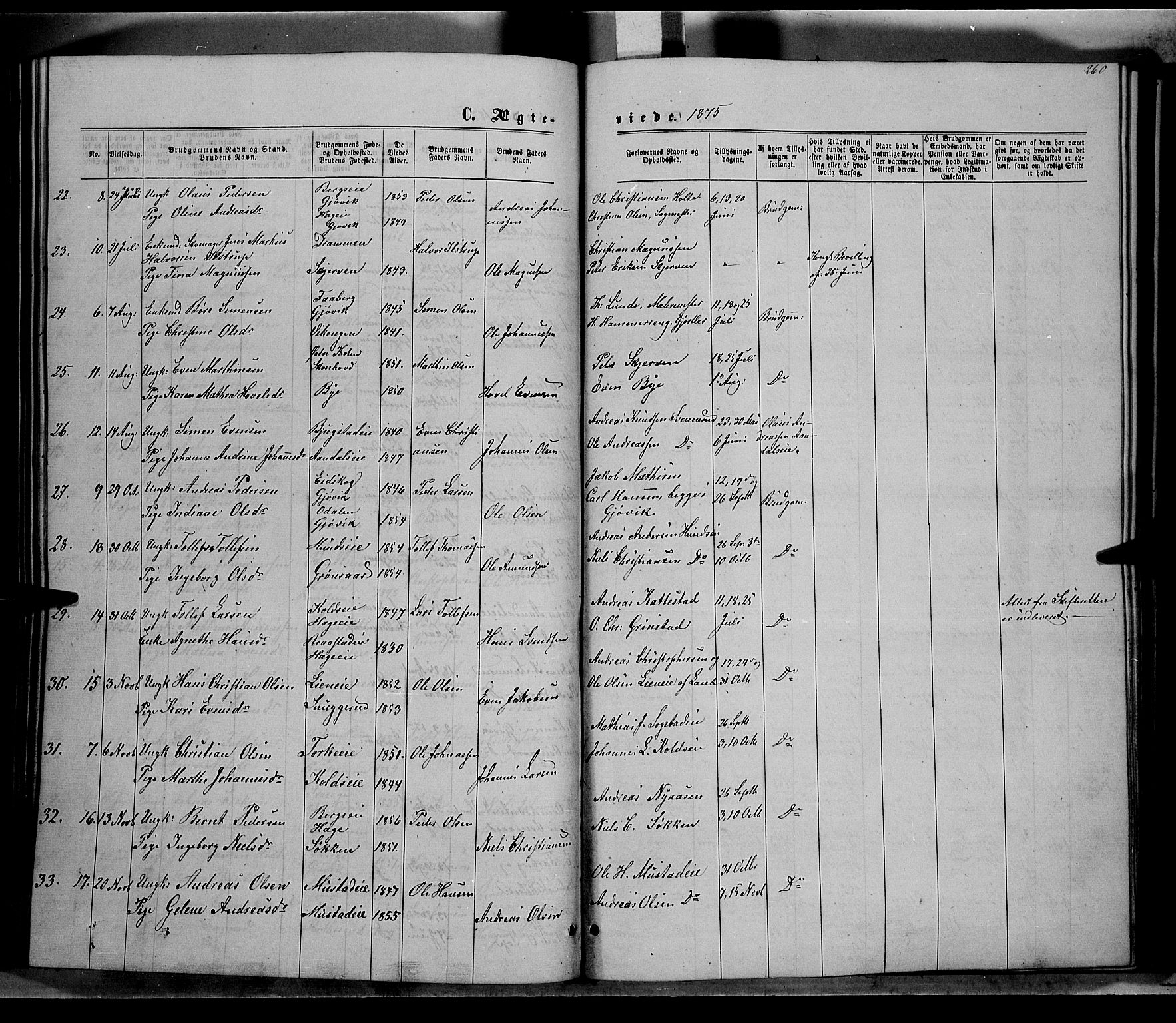 Vardal prestekontor, SAH/PREST-100/H/Ha/Hab/L0006: Parish register (copy) no. 6, 1869-1881, p. 260