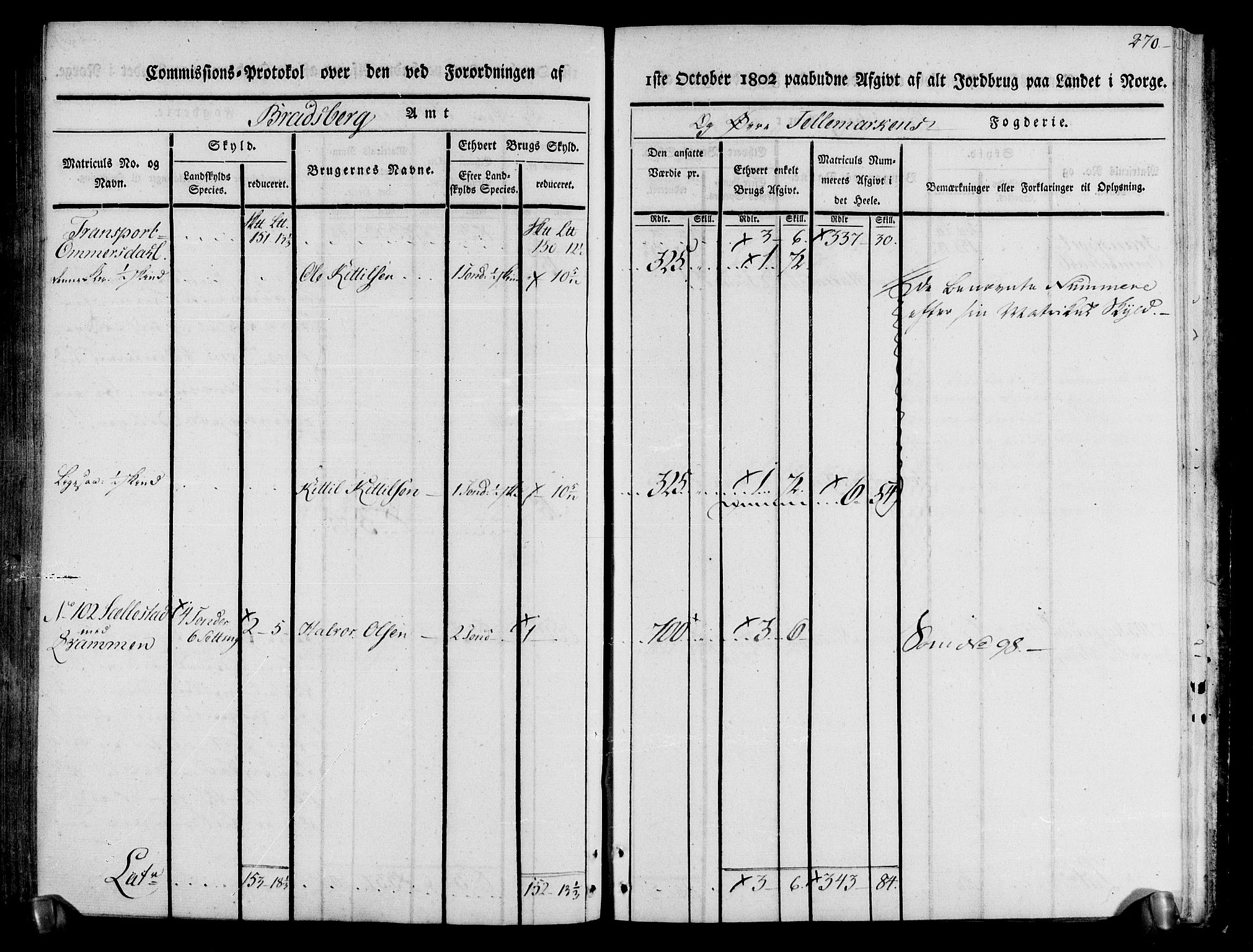 Rentekammeret inntil 1814, Realistisk ordnet avdeling, AV/RA-EA-4070/N/Ne/Nea/L0074: Øvre Telemarken fogderi. Kommisjonsprotokoll for fogderiets østre del - Tinn, Hjartdal og Seljord prestegjeld., 1803, p. 270