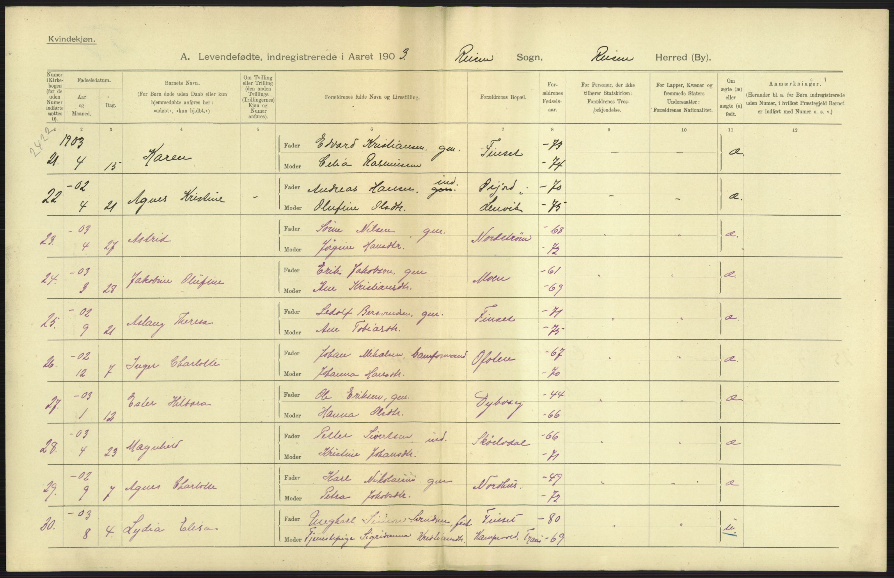 Statistisk sentralbyrå, Sosiodemografiske emner, Befolkning, AV/RA-S-2228/D/Df/Dfa/Dfaa/L0021: Tromsø amt: Fødte, gifte, døde., 1903, p. 5