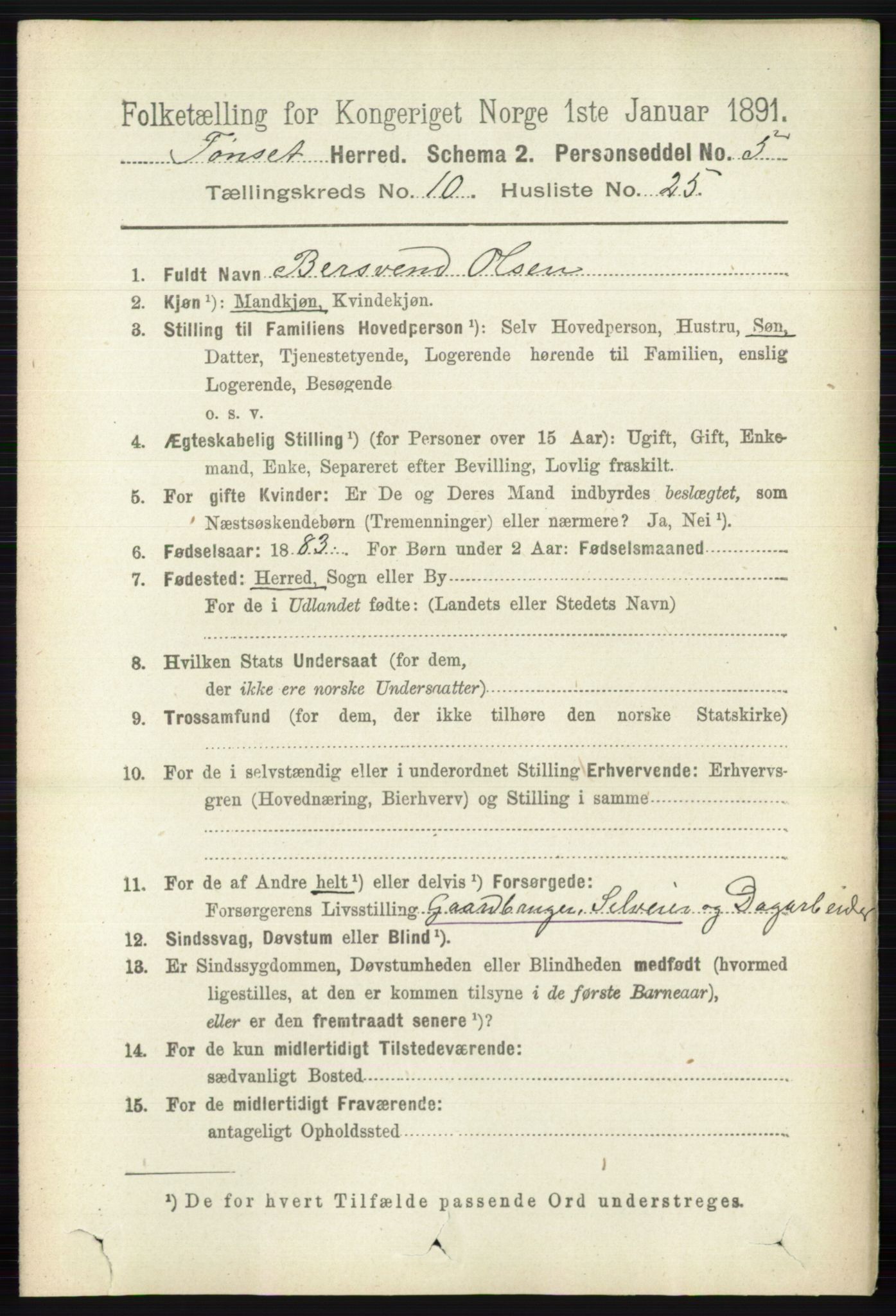 RA, 1891 census for 0437 Tynset, 1891, p. 2972