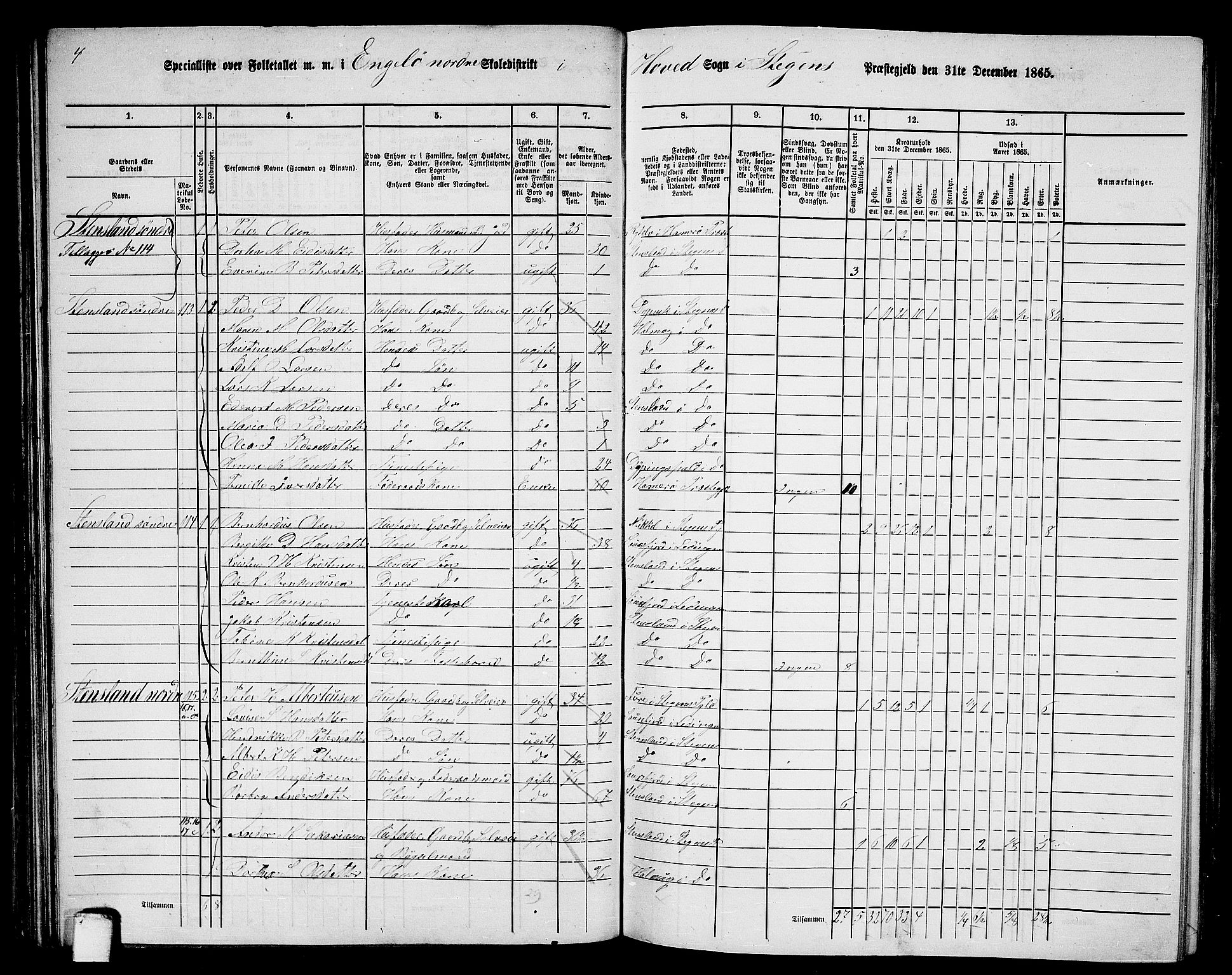 RA, 1865 census for Steigen, 1865, p. 62