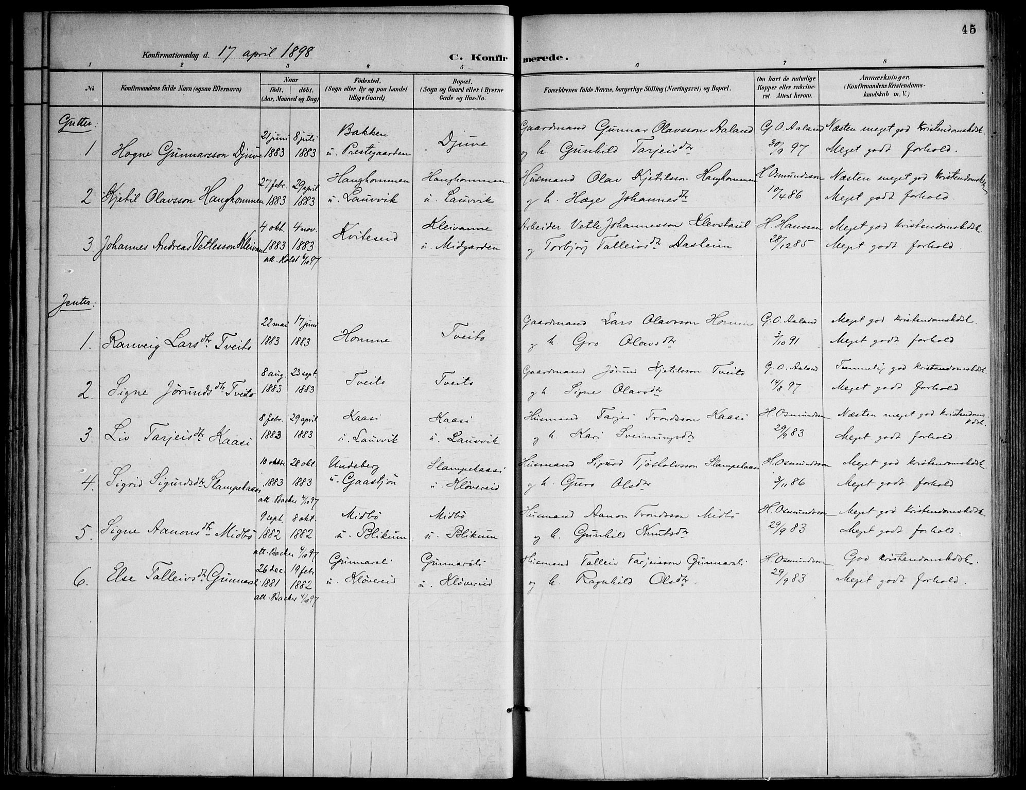 Lårdal kirkebøker, SAKO/A-284/F/Fa/L0007: Parish register (official) no. I 7, 1887-1906, p. 45