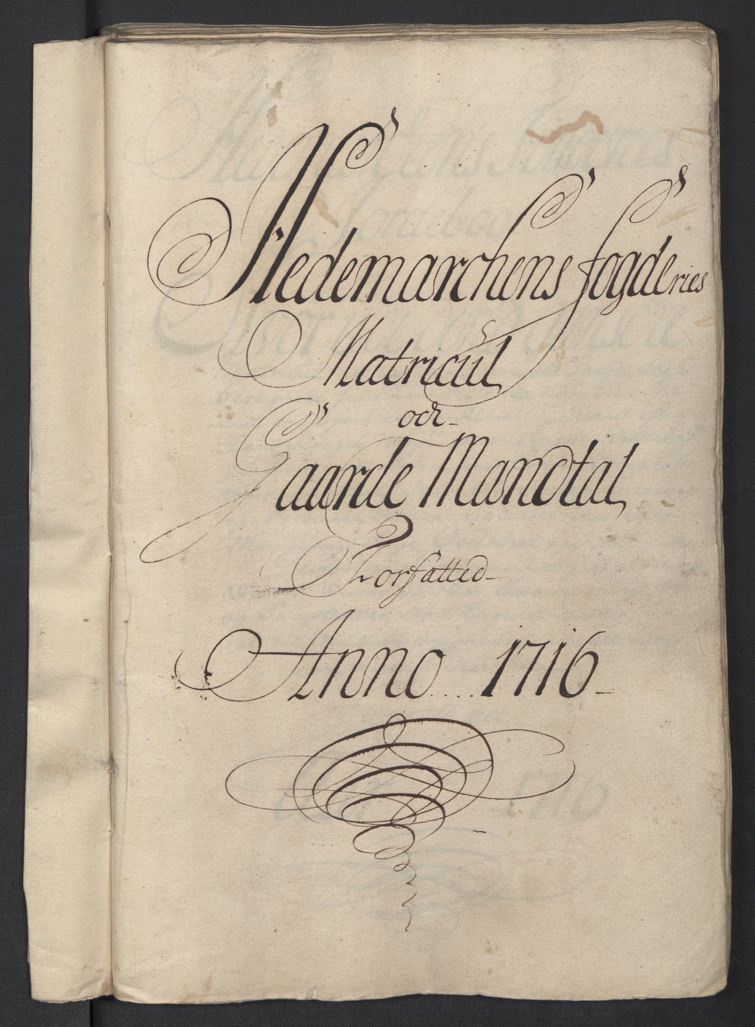 Rentekammeret inntil 1814, Reviderte regnskaper, Fogderegnskap, RA/EA-4092/R16/L1055: Fogderegnskap Hedmark, 1716, p. 16