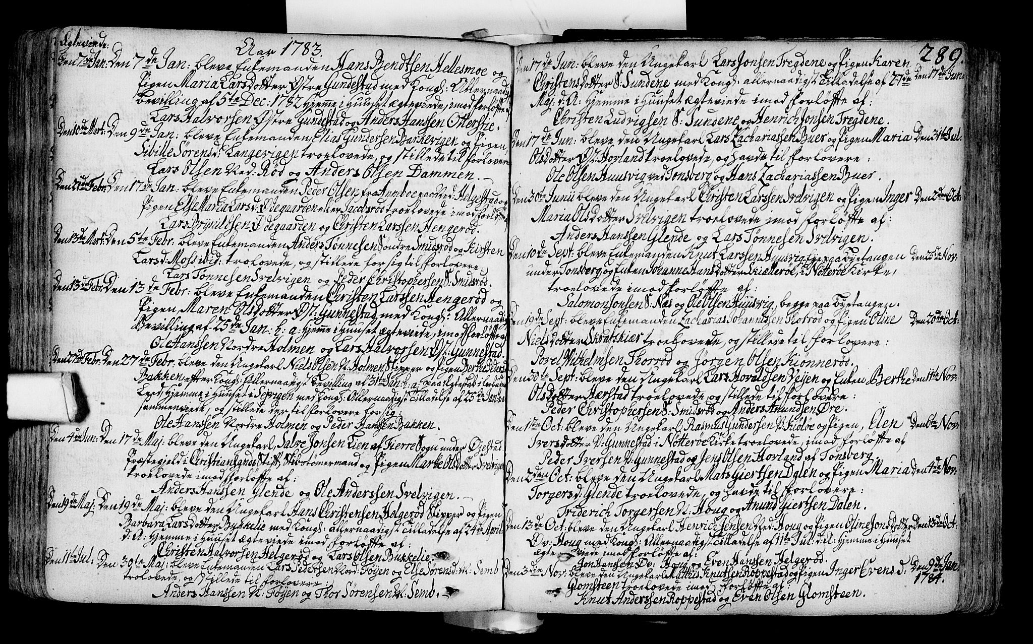 Nøtterøy kirkebøker, AV/SAKO-A-354/F/Fa/L0002: Parish register (official) no. I 2, 1738-1790, p. 289