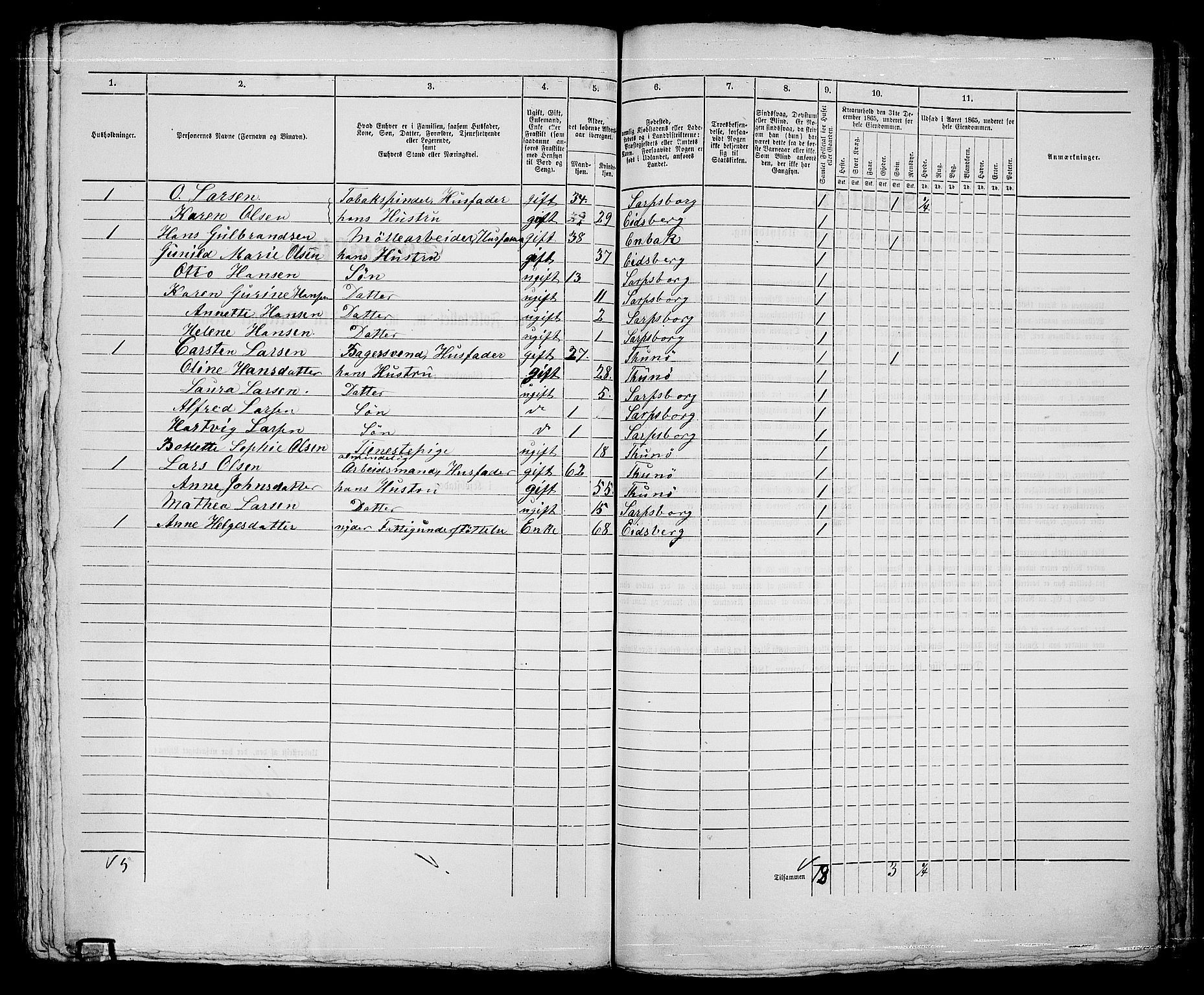 RA, 1865 census for Sarpsborg, 1865, p. 502