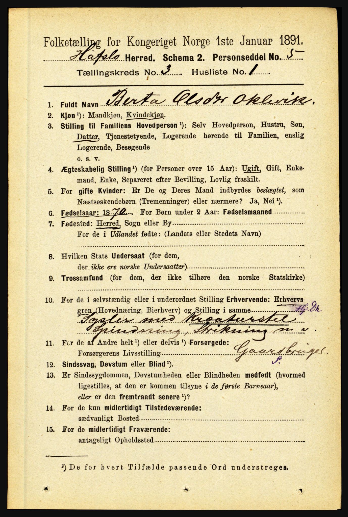 RA, 1891 census for 1425 Hafslo, 1891, p. 986