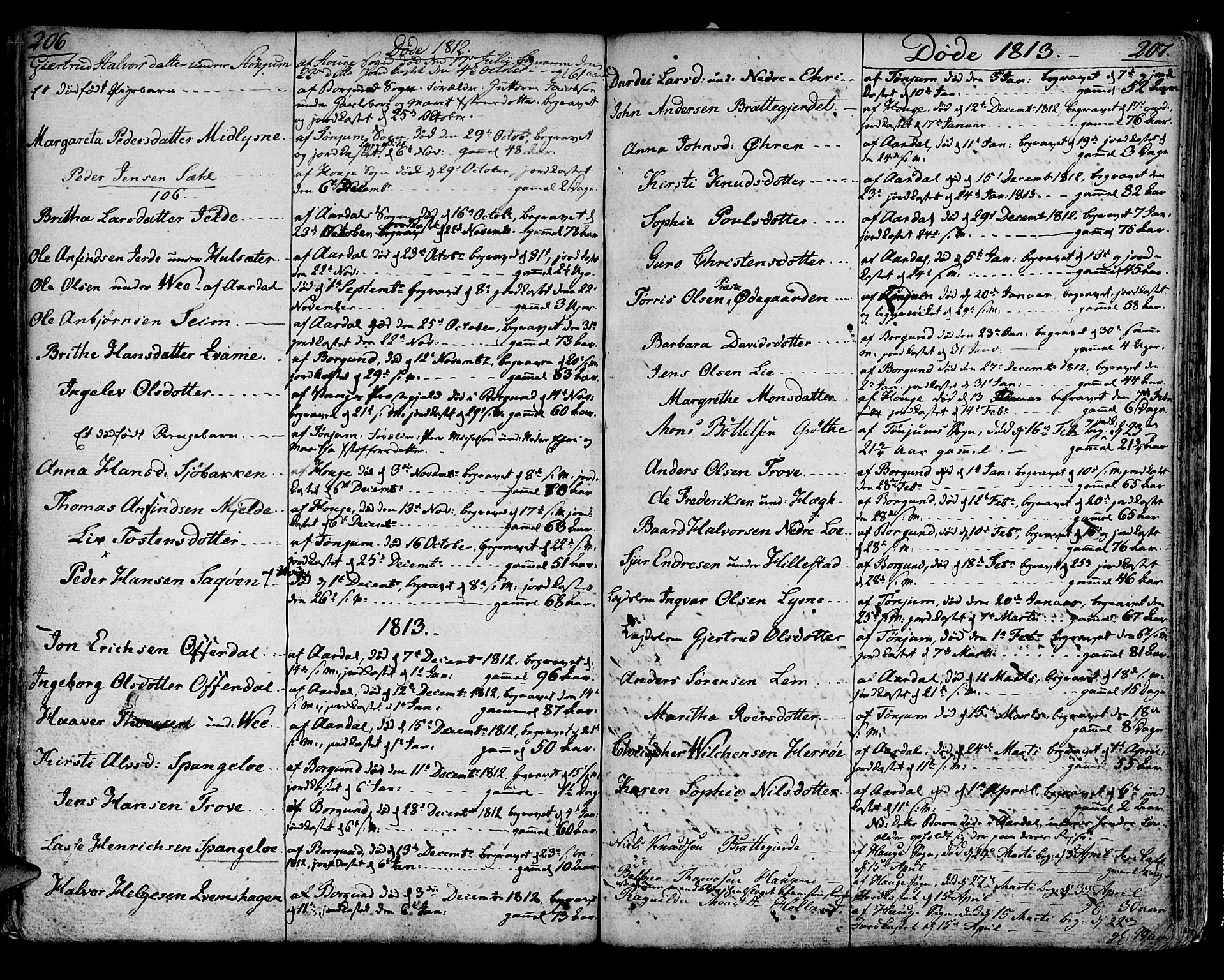 Lærdal sokneprestembete, AV/SAB-A-81201: Parish register (official) no. A 4, 1805-1821, p. 206-207