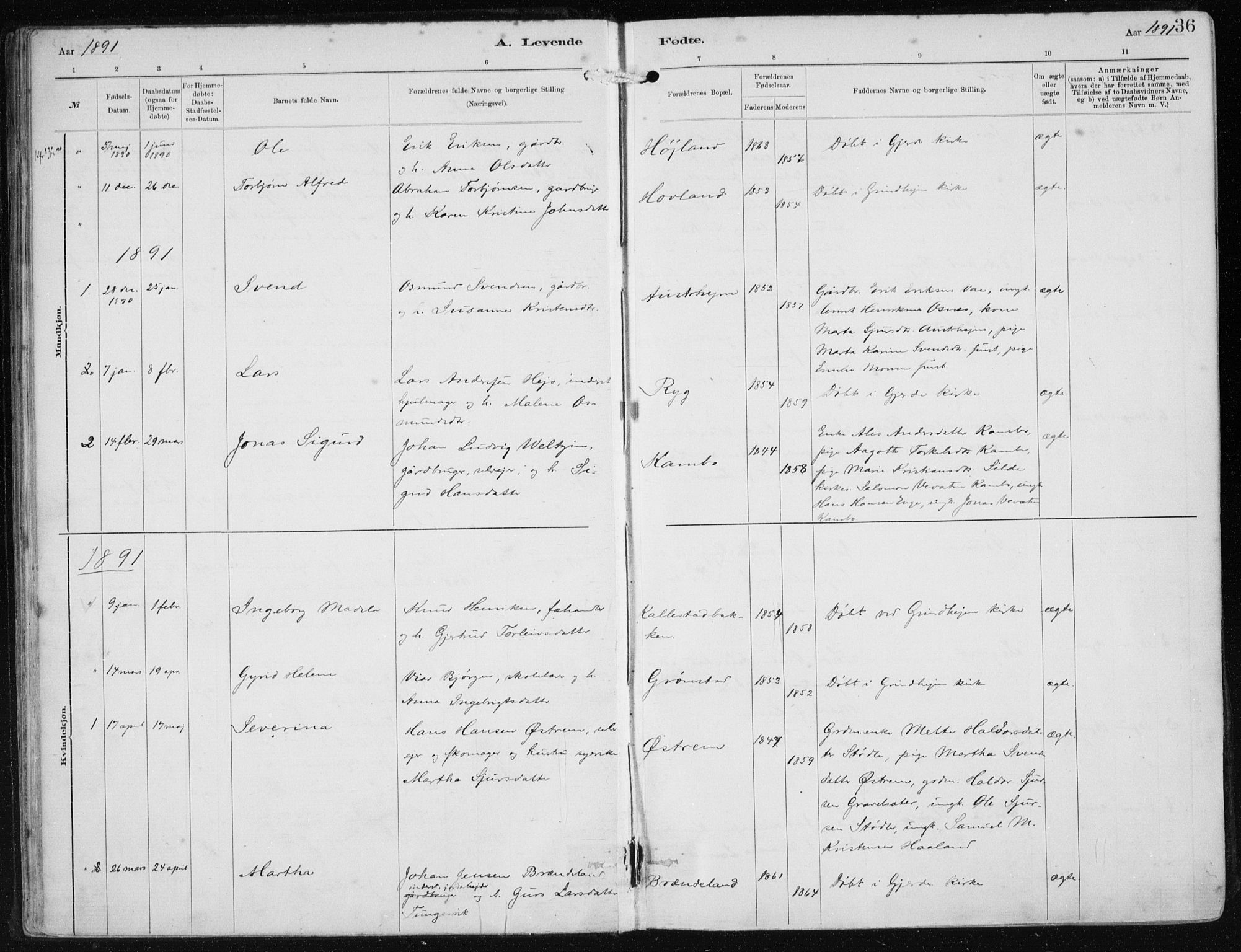 Etne sokneprestembete, SAB/A-75001/H/Haa: Parish register (official) no. B  1, 1879-1919, p. 36
