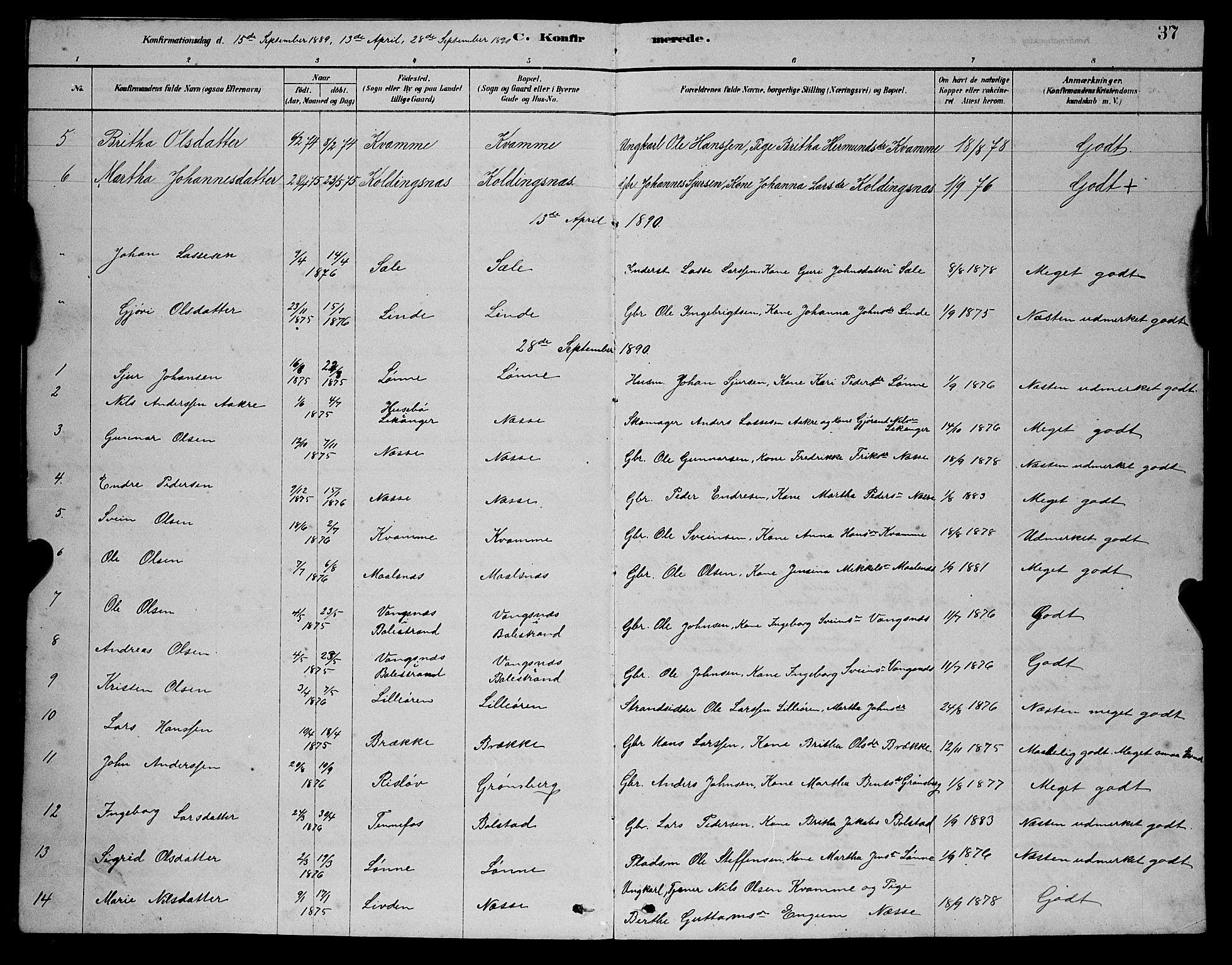 Balestrand sokneprestembete, AV/SAB-A-79601/H/Hab/Habc/L0002: Parish register (copy) no. C 2, 1878-1895, p. 37