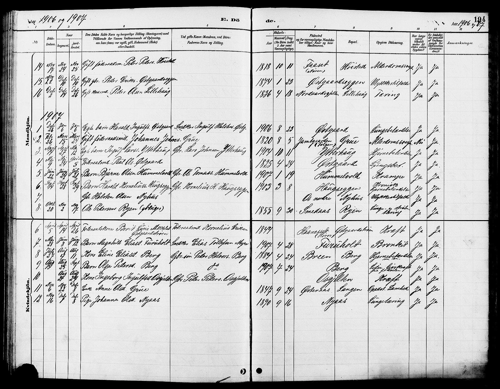 Tolga prestekontor, AV/SAH-PREST-062/L/L0008: Parish register (copy) no. 8, 1887-1912, p. 194