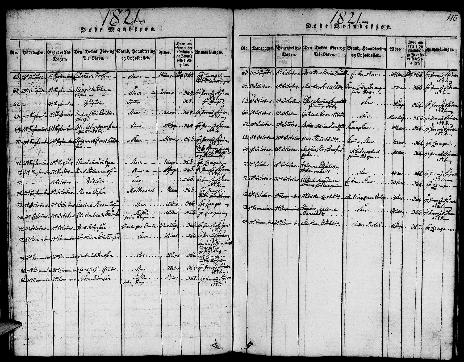 Domkirken sokneprestkontor, SAST/A-101812/001/30/30BA/L0008: Parish register (official) no. A 8, 1816-1821, p. 110