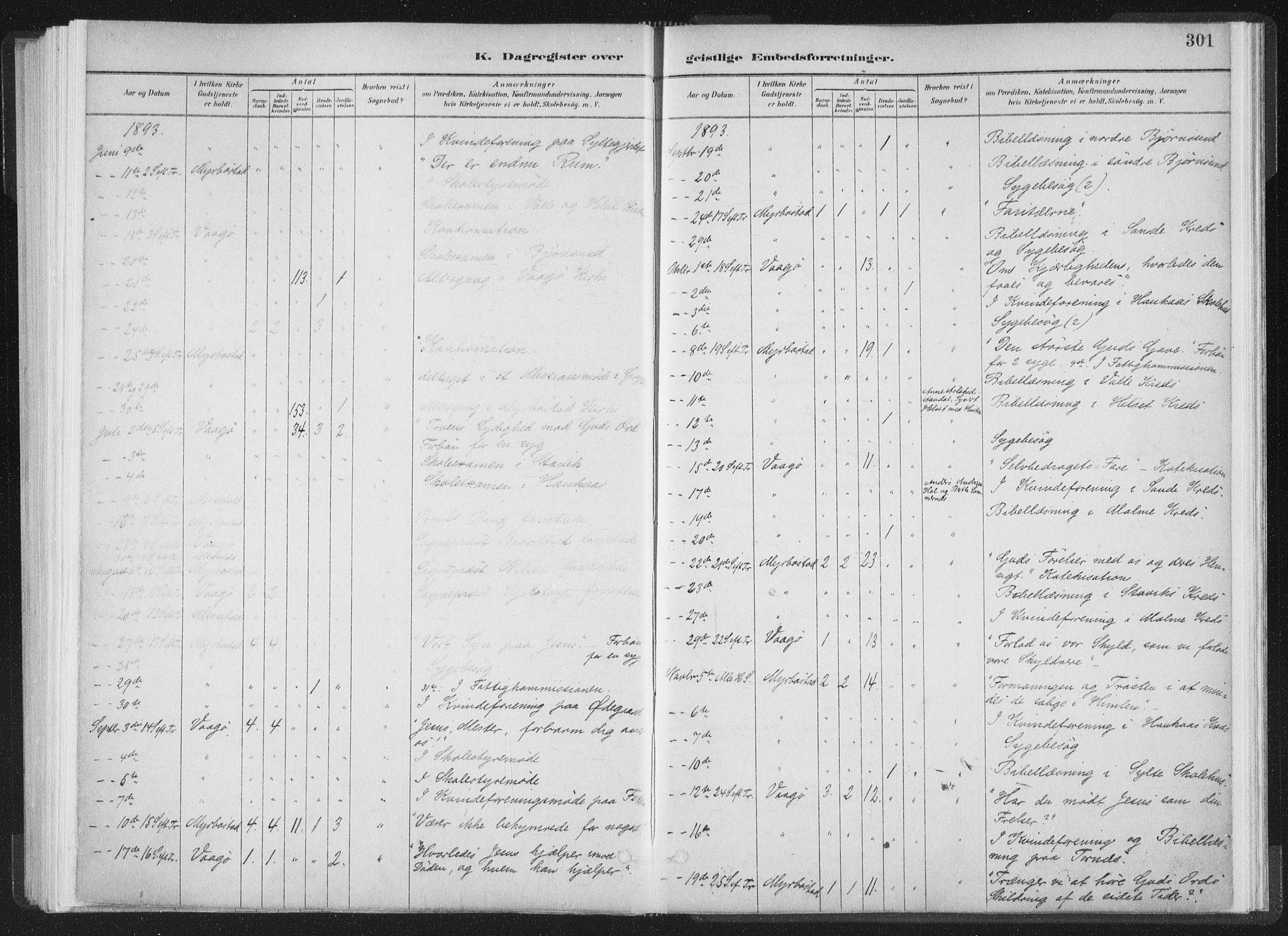 Ministerialprotokoller, klokkerbøker og fødselsregistre - Møre og Romsdal, AV/SAT-A-1454/564/L0740: Parish register (official) no. 564A01, 1880-1899, p. 301