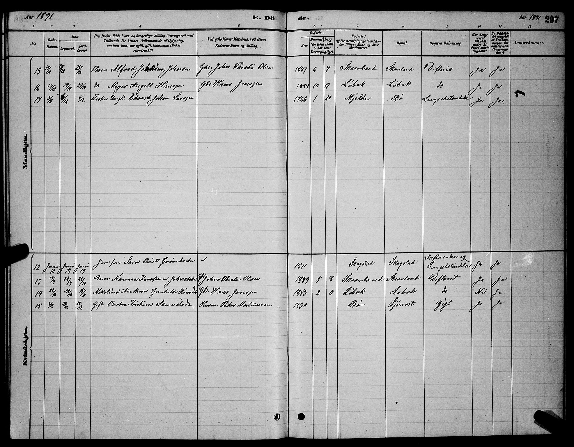 Ministerialprotokoller, klokkerbøker og fødselsregistre - Nordland, AV/SAT-A-1459/855/L0816: Parish register (copy) no. 855C05, 1879-1894, p. 297