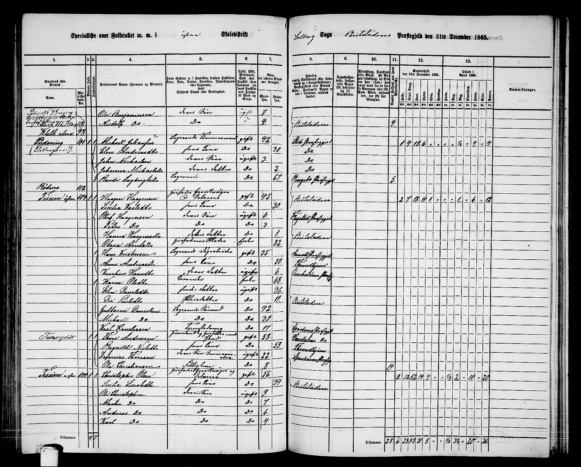 RA, 1865 census for Beitstad, 1865, p. 100