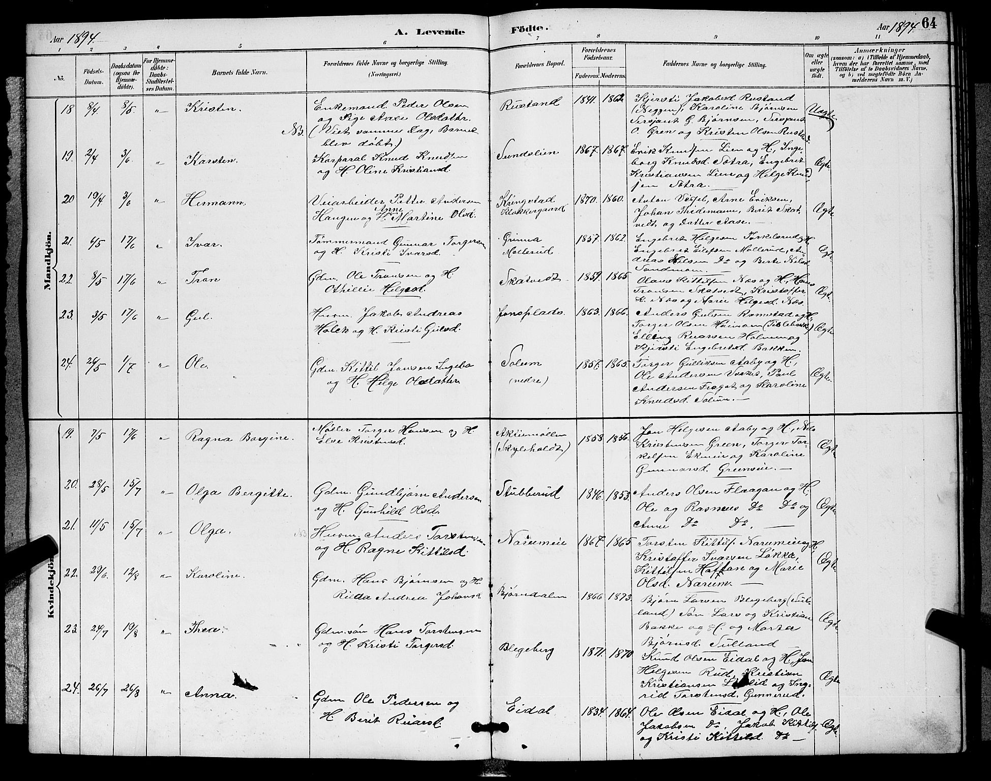 Sigdal kirkebøker, AV/SAKO-A-245/G/Ga/L0005: Parish register (copy) no. I 5, 1886-1900, p. 64