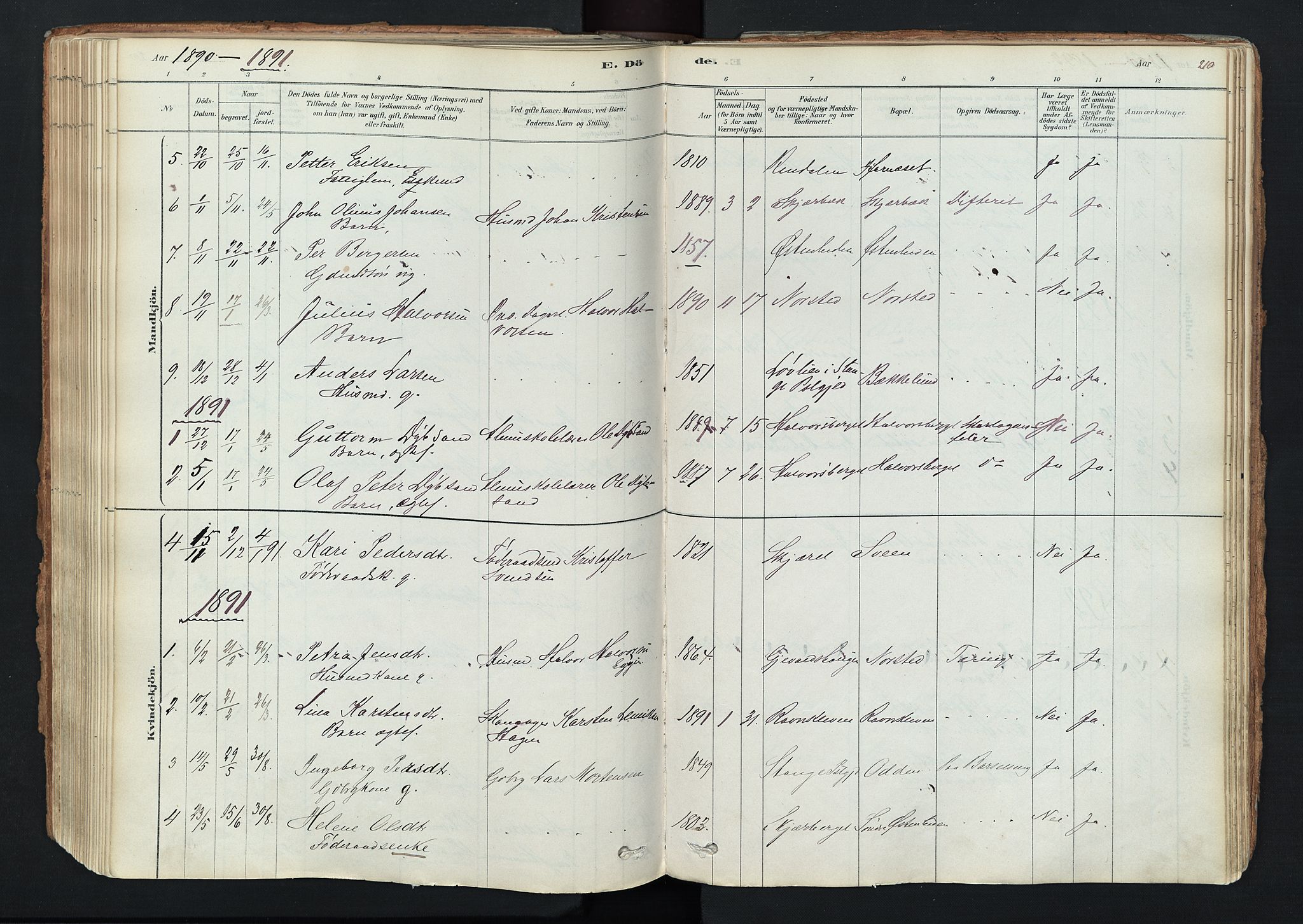 Trysil prestekontor, SAH/PREST-046/H/Ha/Haa/L0011: Parish register (official) no. 11, 1878-1912, p. 210