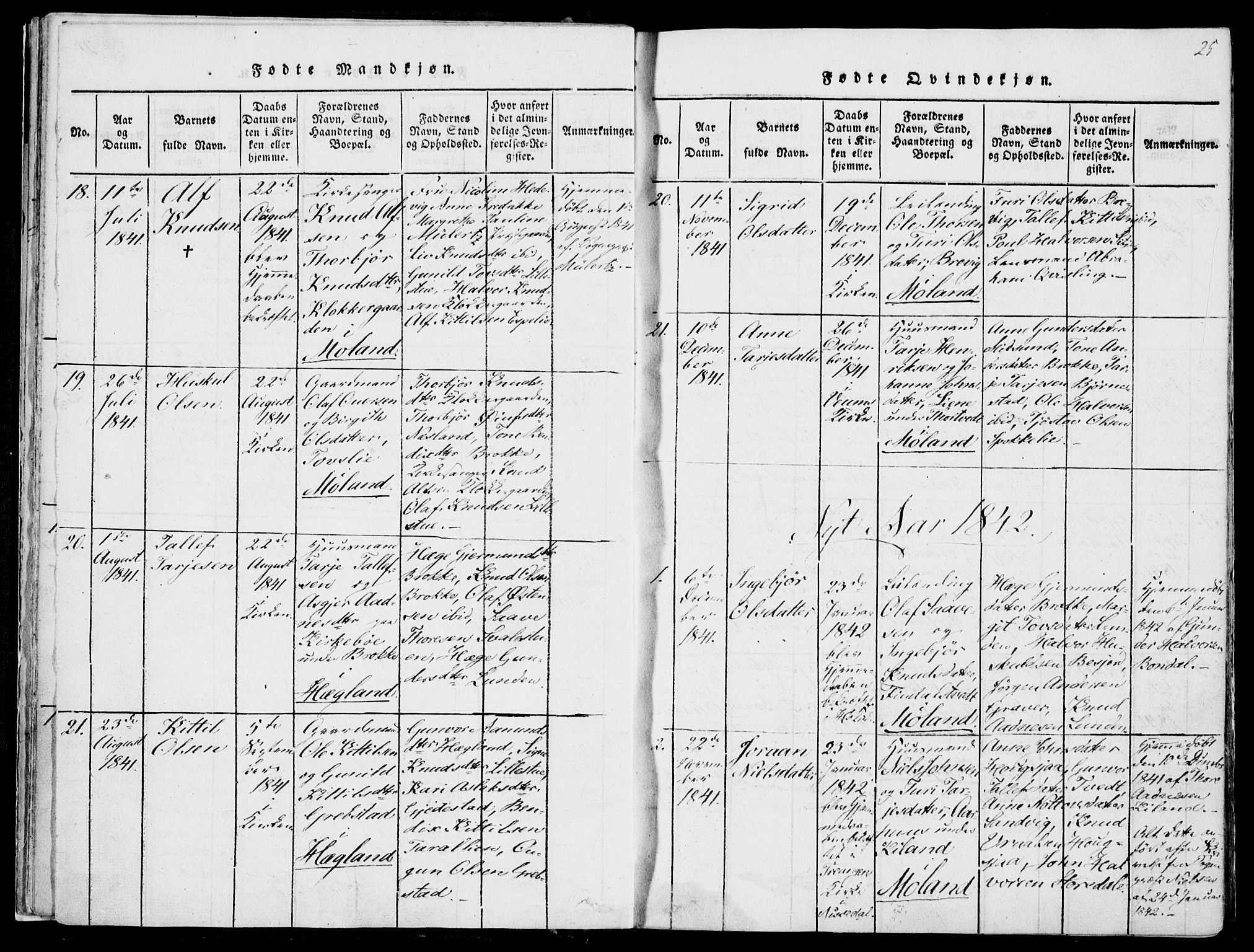 Fyresdal kirkebøker, SAKO/A-263/F/Fa/L0004: Parish register (official) no. I 4, 1815-1854, p. 25