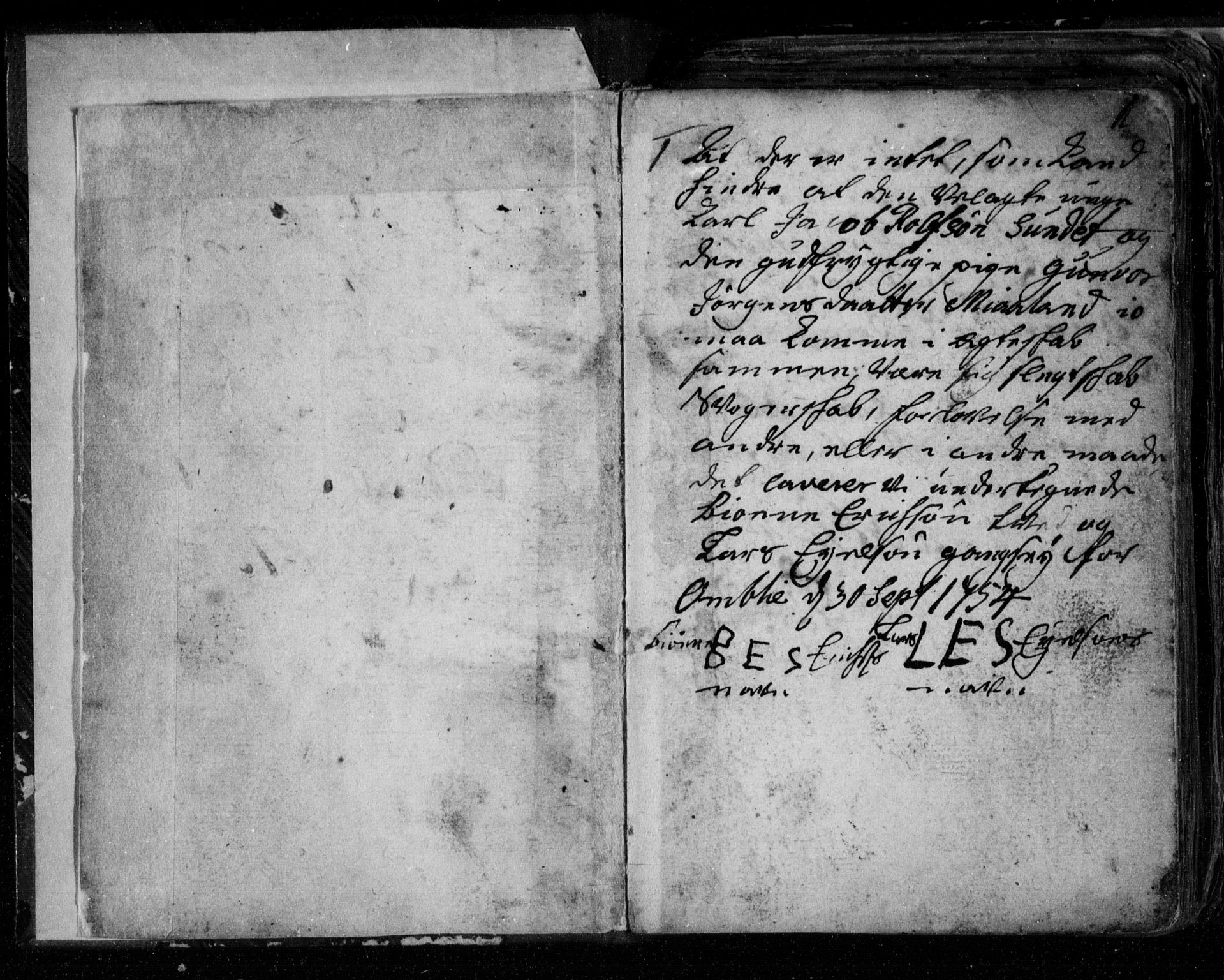 Åmli sokneprestkontor, SAK/1111-0050/F/Fe/L0001: Best man's statements no. A VI 40, 1754-1799, p. 0-1