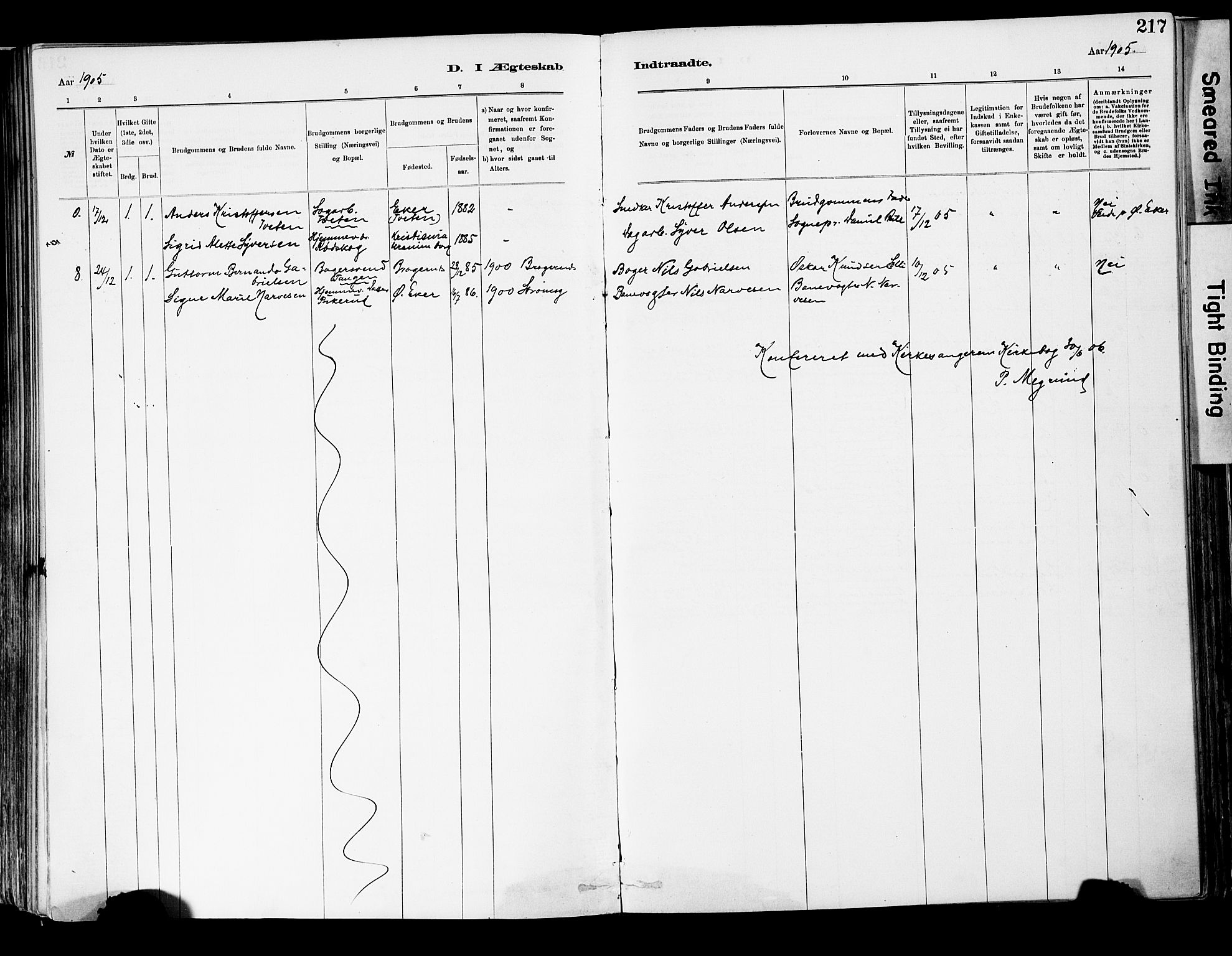 Strømsgodset kirkebøker, AV/SAKO-A-324/F/Fa/L0001: Parish register (official) no. 1, 1885-1909, p. 217