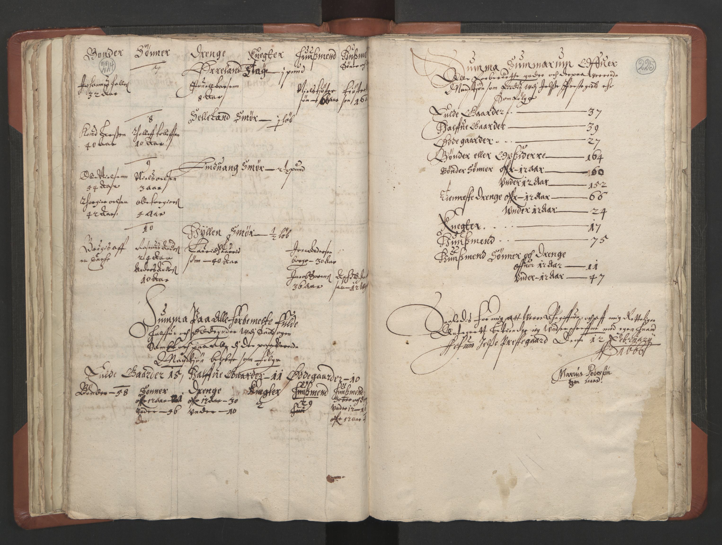 RA, Vicar's Census 1664-1666, no. 19: Ryfylke deanery, 1664-1666, p. 224-225