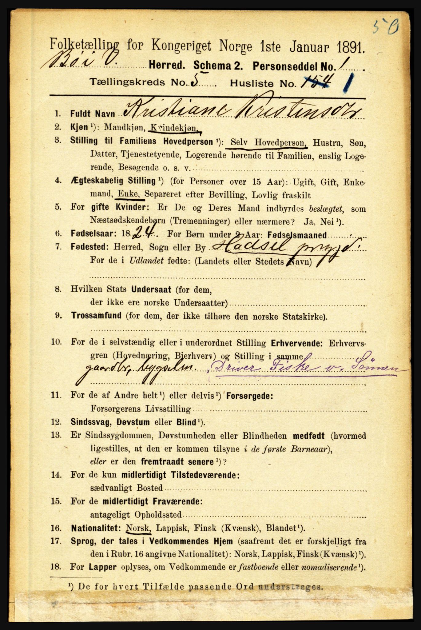 RA, 1891 census for 1867 Bø, 1891, p. 1960