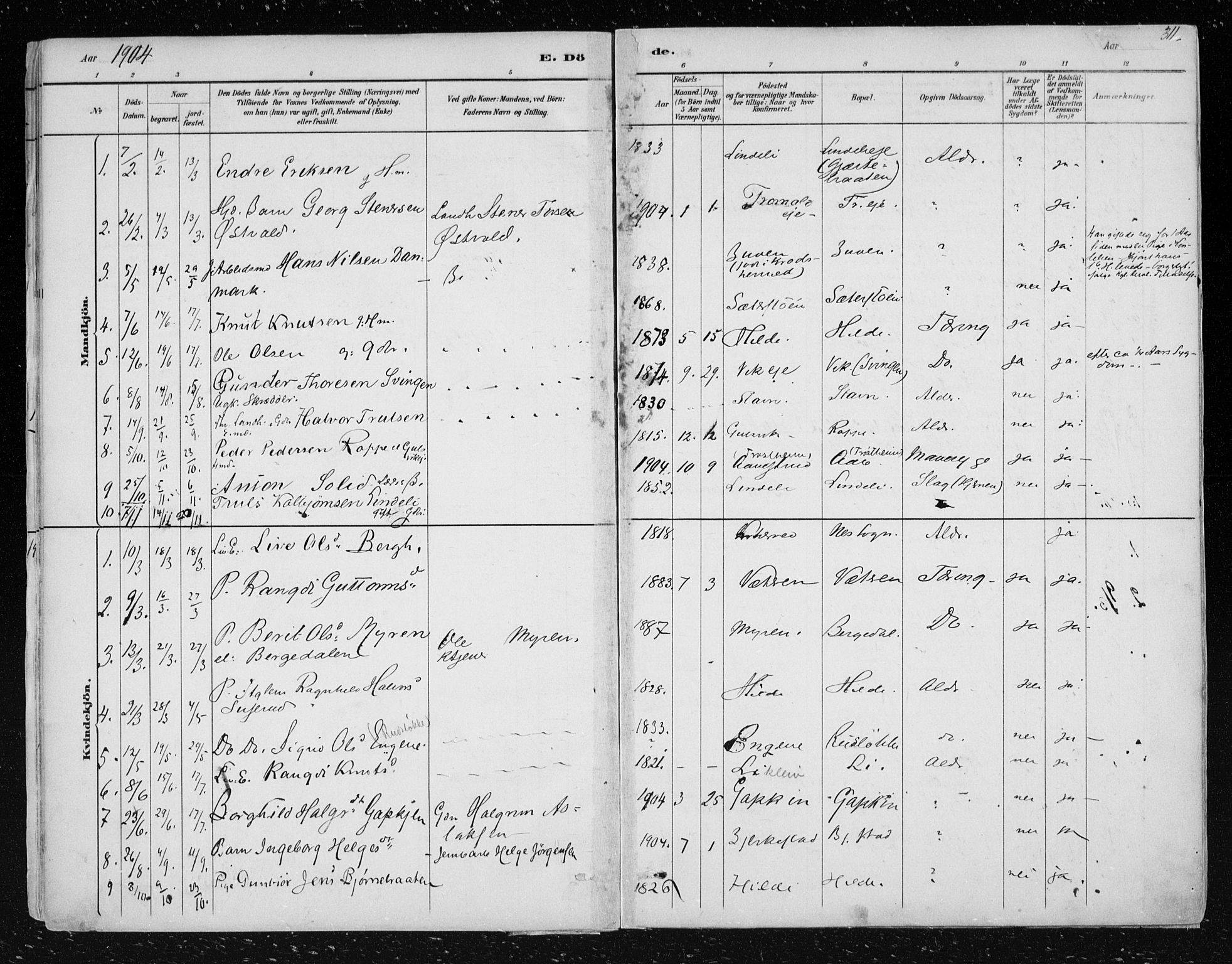 Nes kirkebøker, AV/SAKO-A-236/F/Fa/L0012: Parish register (official) no. 12, 1881-1917, p. 311