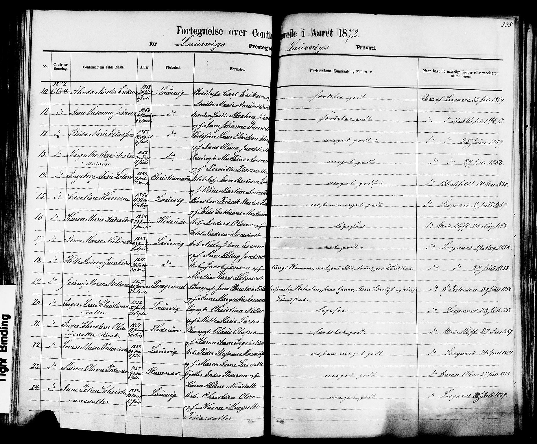 Larvik kirkebøker, SAKO/A-352/F/Fa/L0006: Parish register (official) no. I 6, 1871-1883, p. 355
