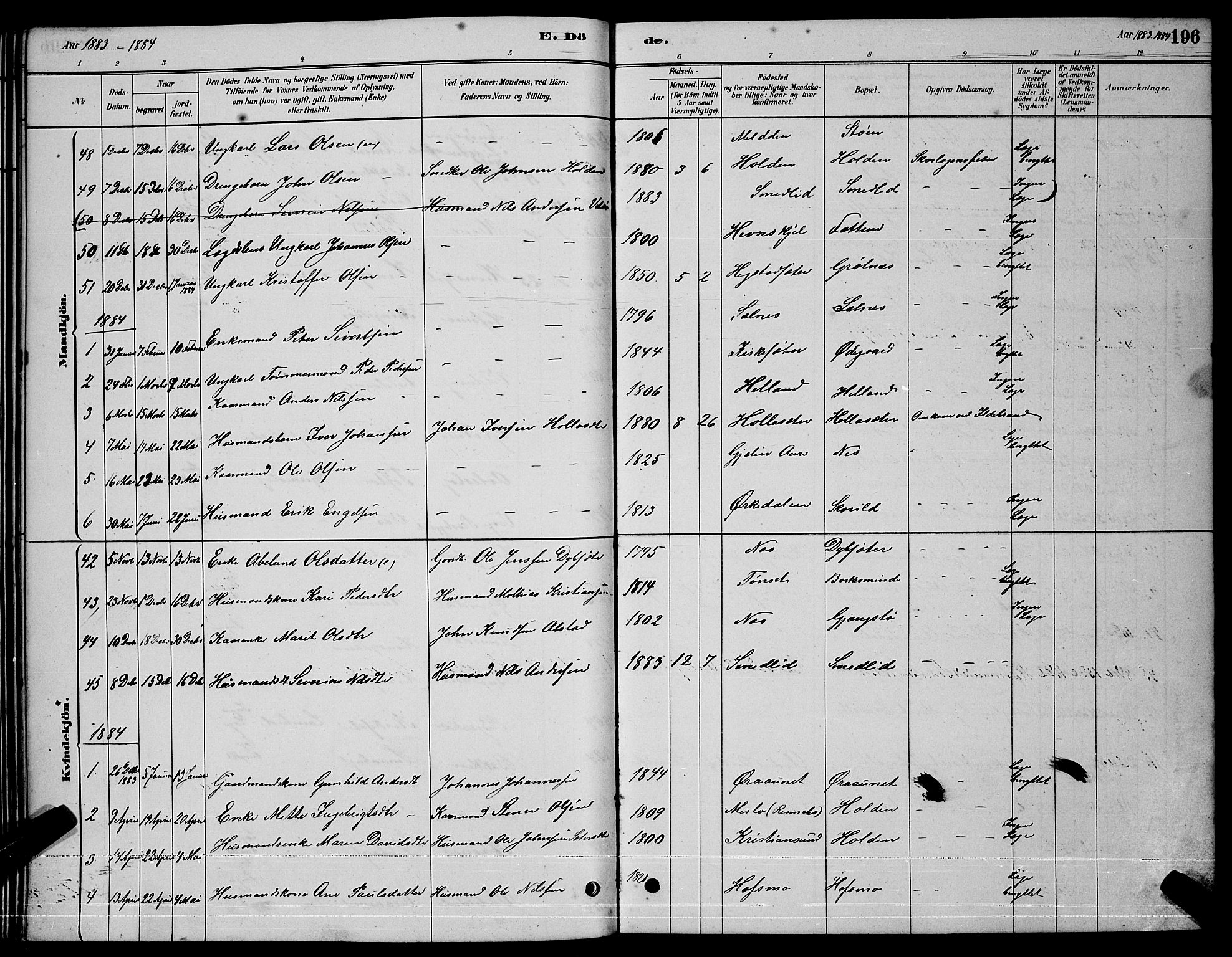 Ministerialprotokoller, klokkerbøker og fødselsregistre - Sør-Trøndelag, AV/SAT-A-1456/630/L0504: Parish register (copy) no. 630C02, 1879-1898, p. 196