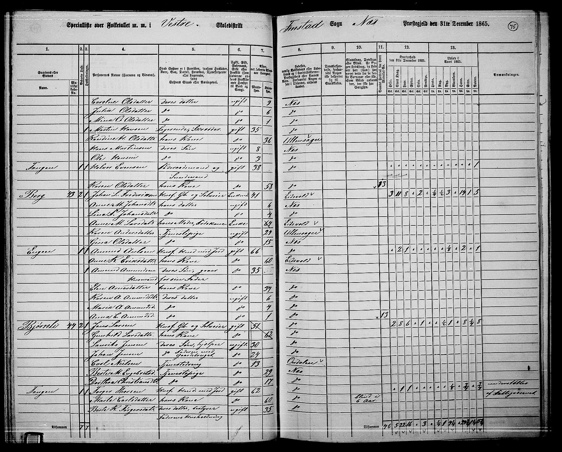 RA, 1865 census for Nes, 1865, p. 68