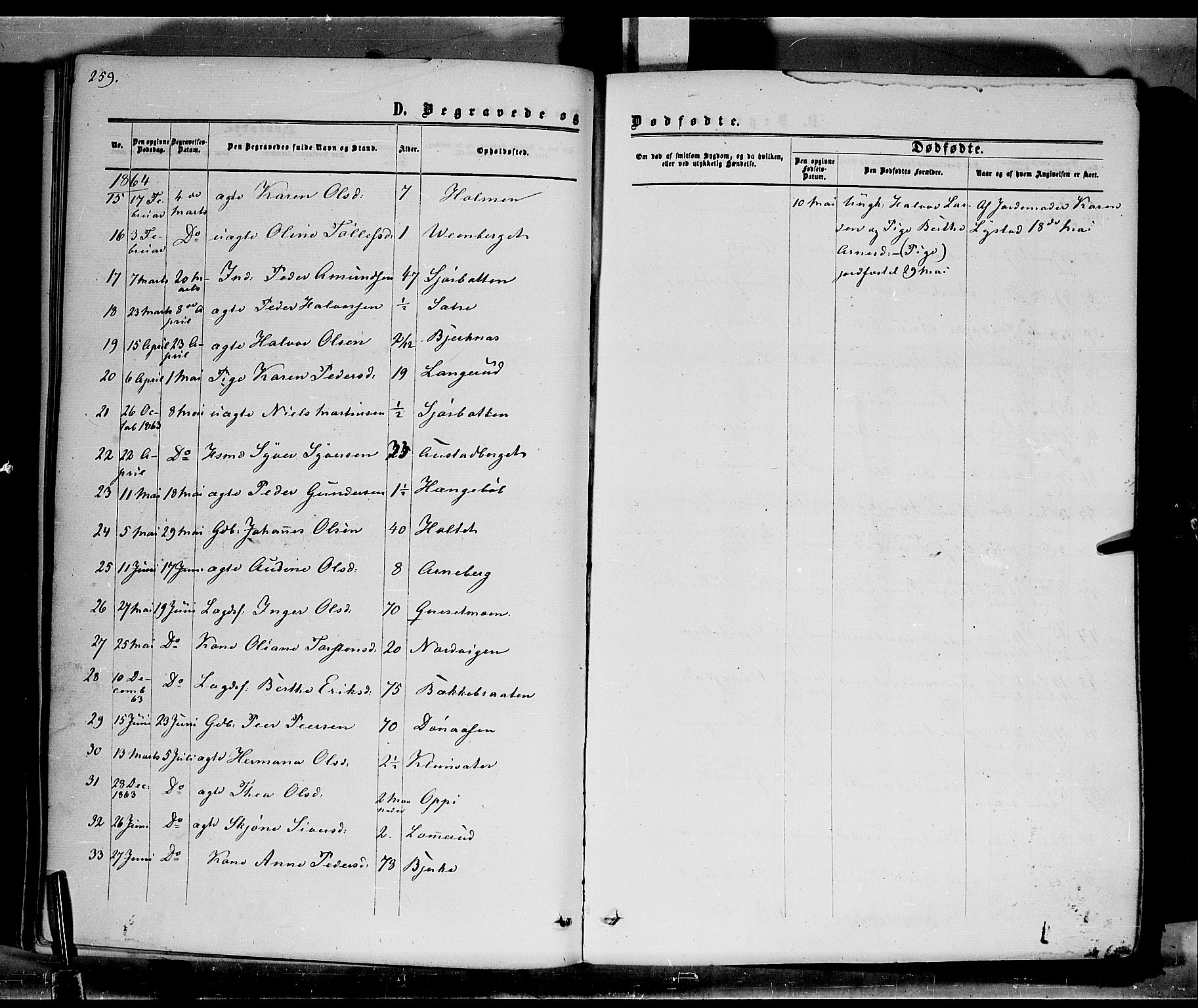 Hof prestekontor, AV/SAH-PREST-038/H/Ha/Haa/L0009: Parish register (official) no. 9, 1862-1877, p. 259