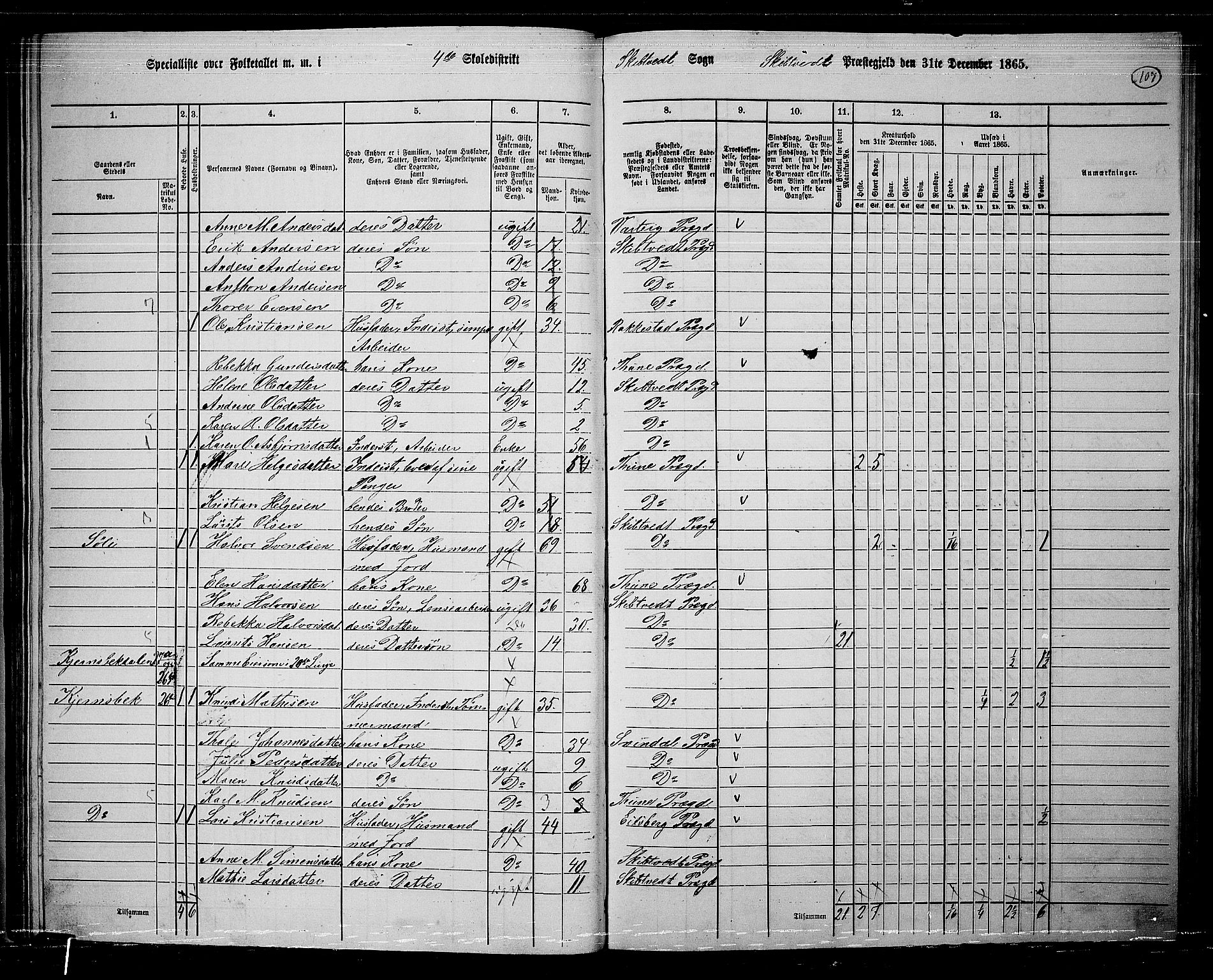 RA, 1865 census for Skiptvet, 1865, p. 97