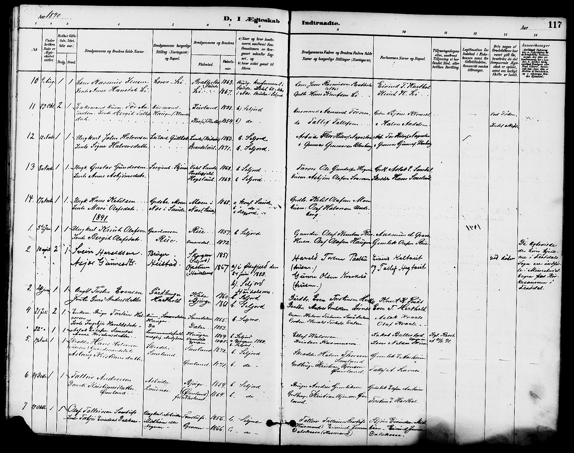 Seljord kirkebøker, SAKO/A-20/G/Ga/L0005: Parish register (copy) no. I 5, 1887-1914, p. 117
