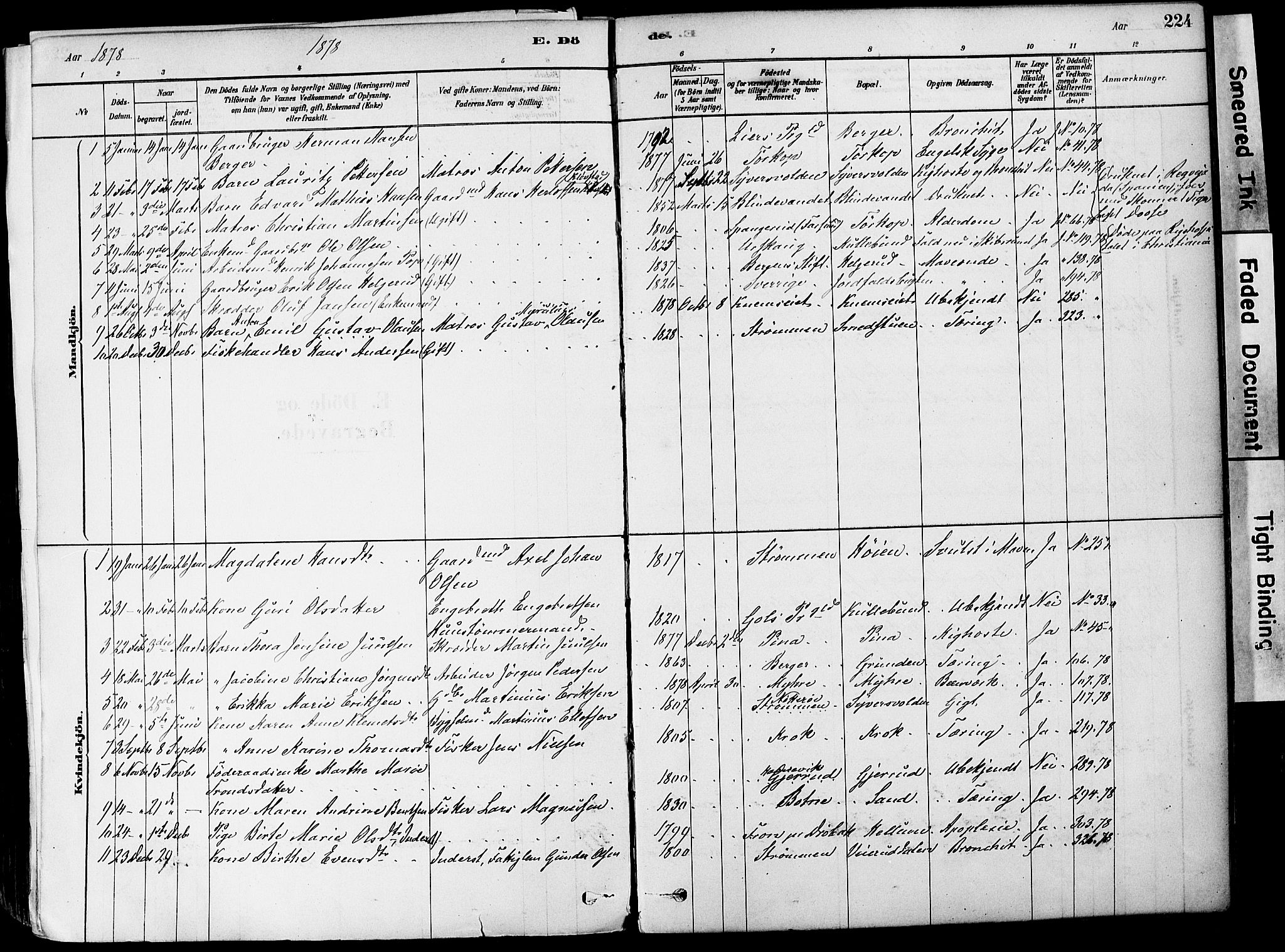 Strømm kirkebøker, AV/SAKO-A-322/F/Fa/L0004: Parish register (official) no. I 4, 1878-1899, p. 224