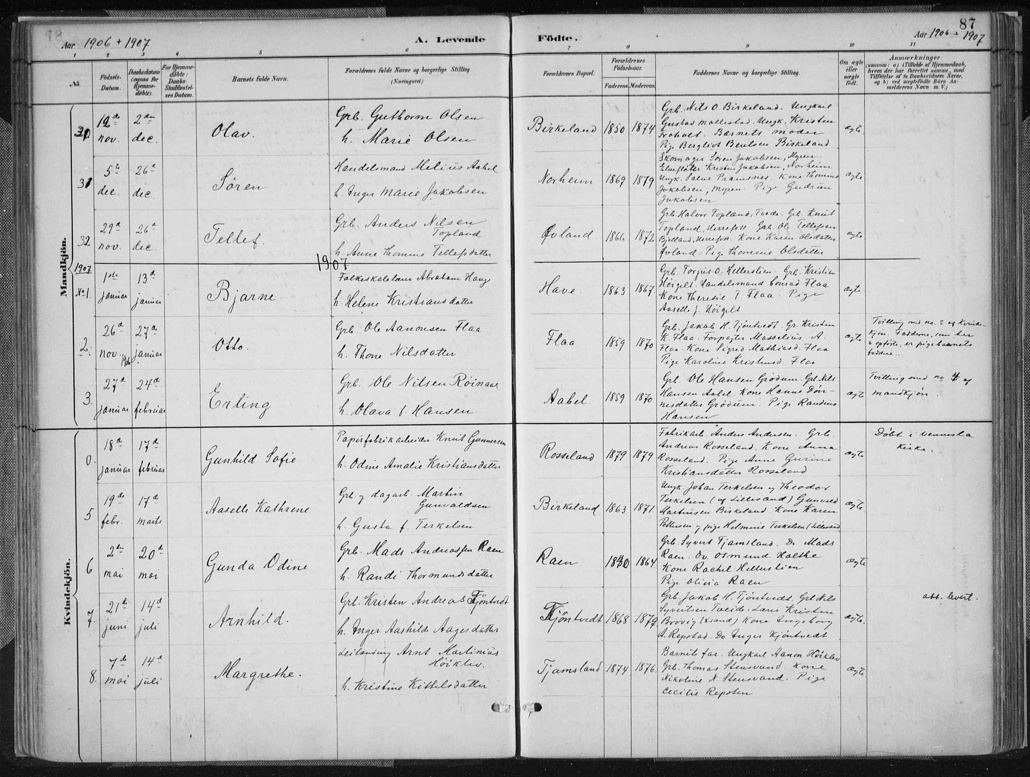 Birkenes sokneprestkontor, SAK/1111-0004/F/Fa/L0005: Parish register (official) no. A 5, 1887-1907, p. 87